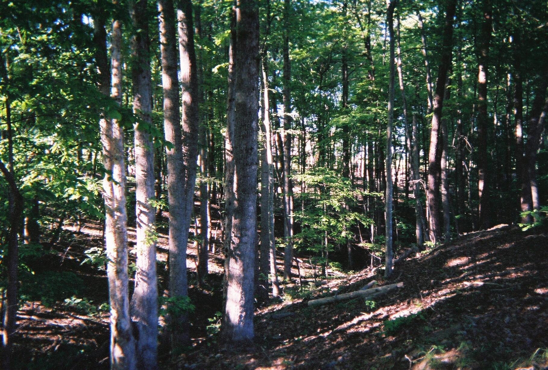 LOT 474 Southwood DR