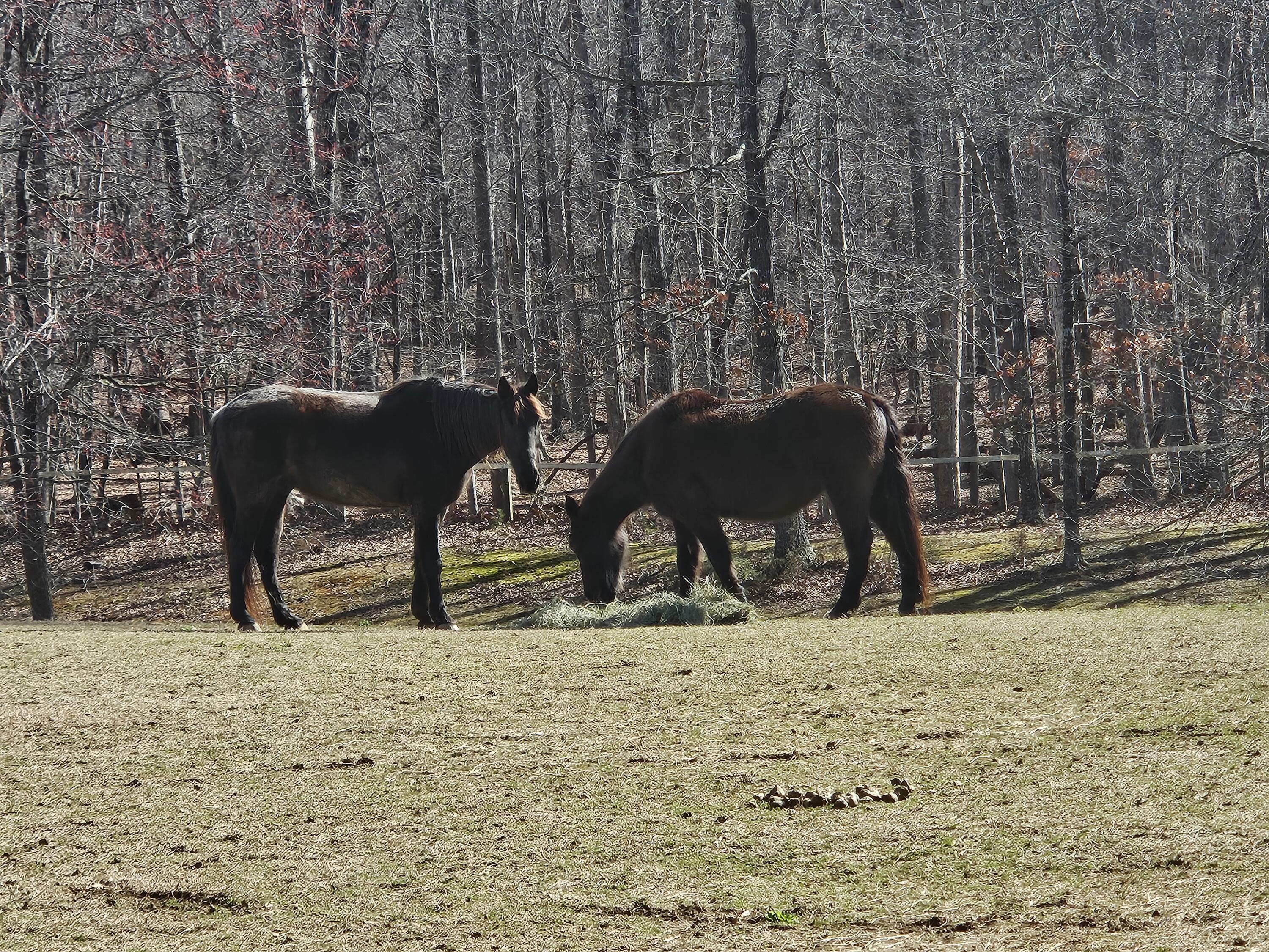 LOT 474 Southwood DR