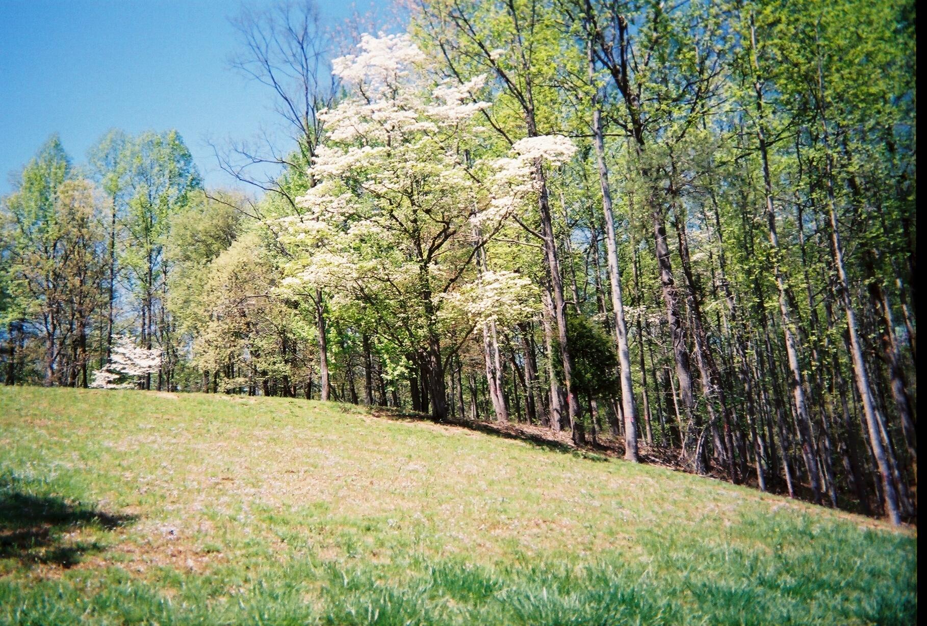 LOT 474 Southwood DR