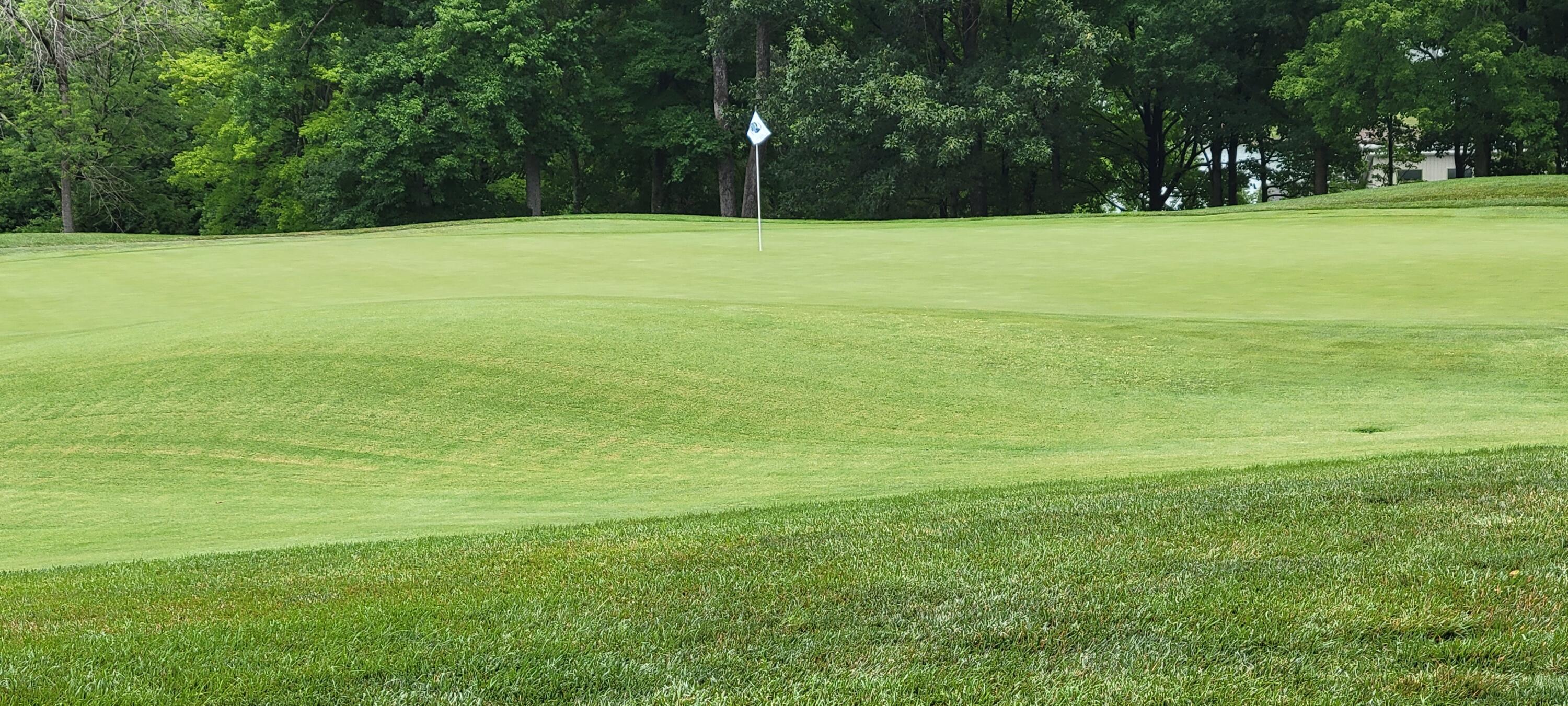 Lot 96 Sand Wedge CIR