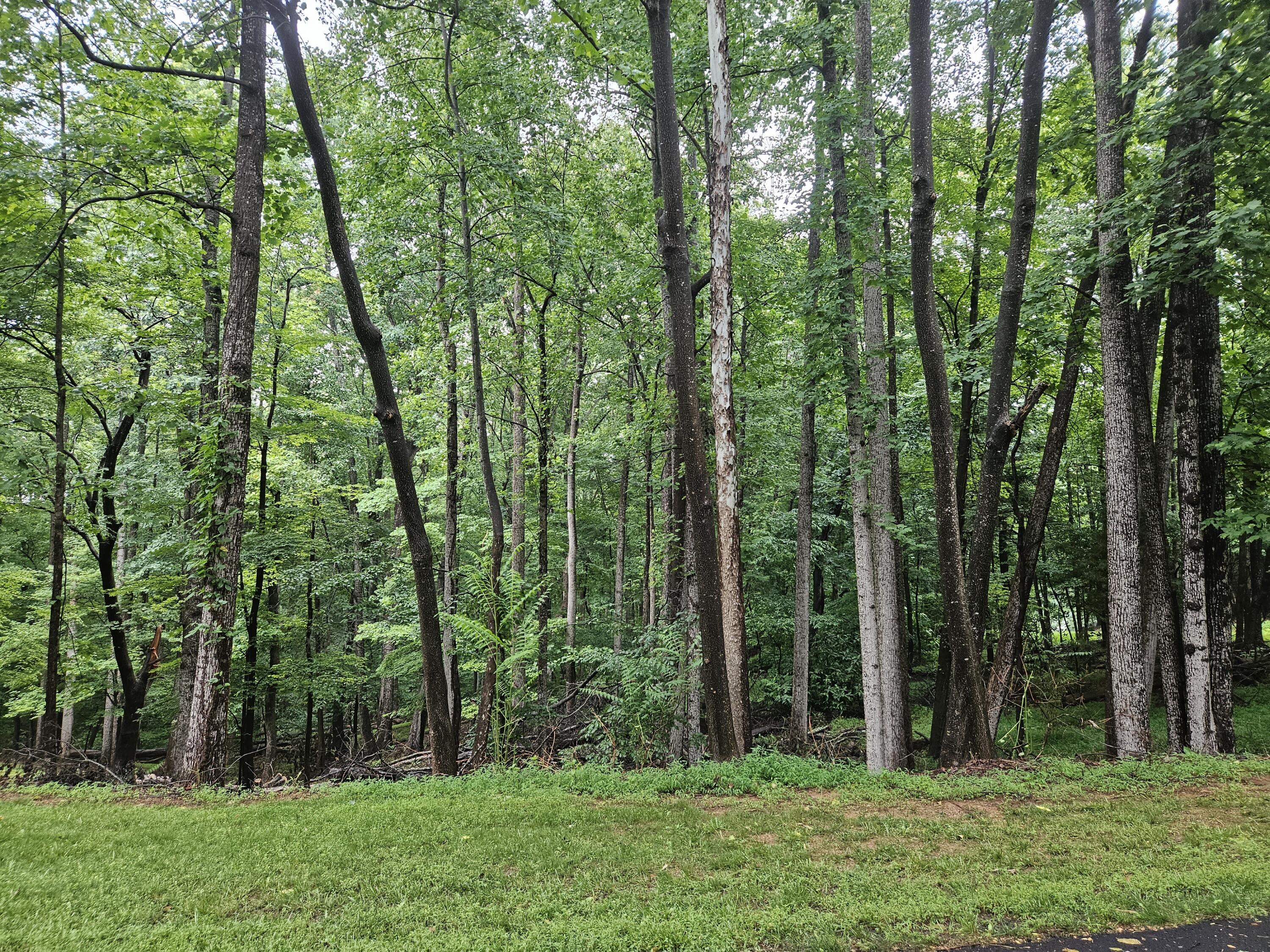 Lot 273 Niblicks CIR