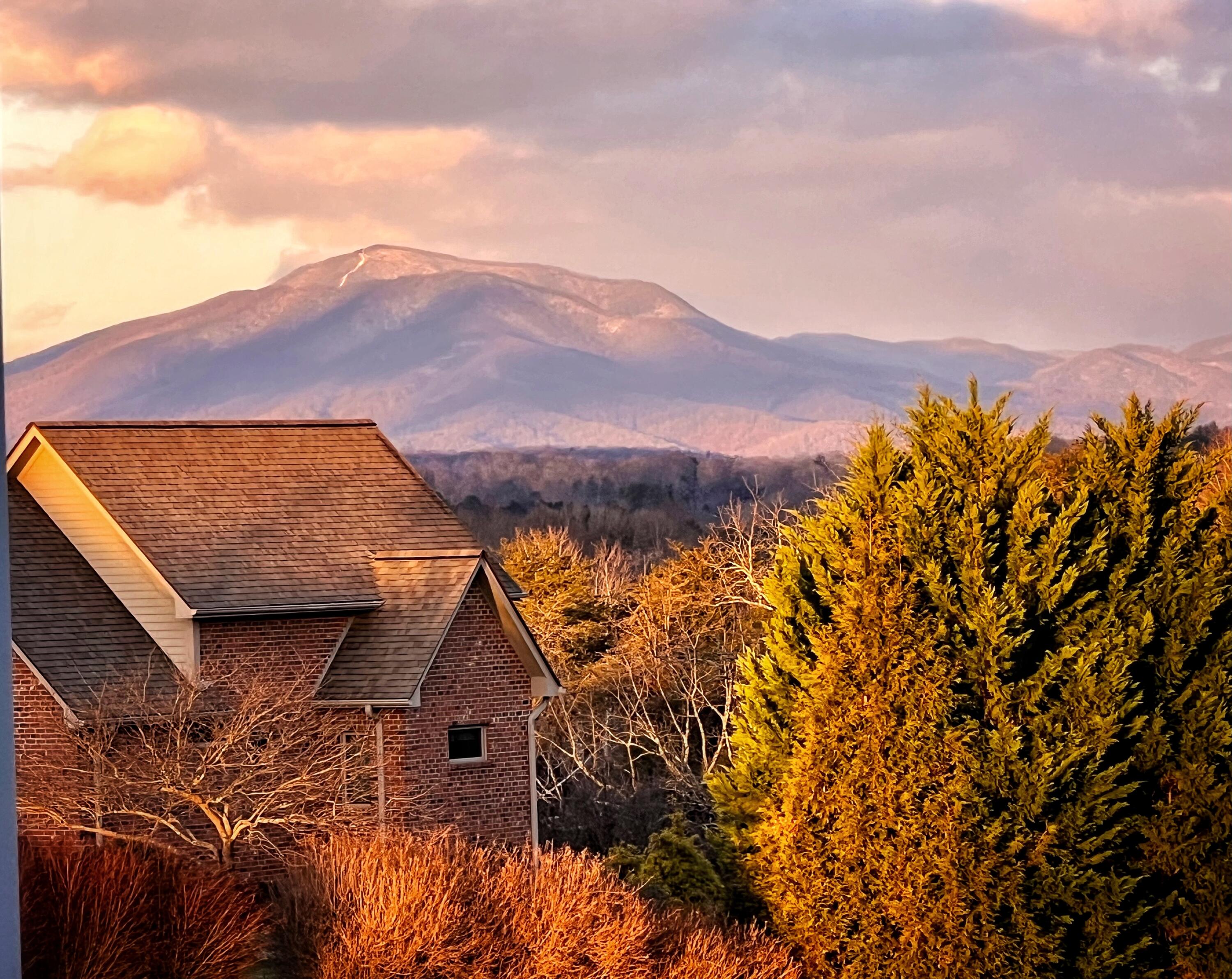 111 Halsey CT