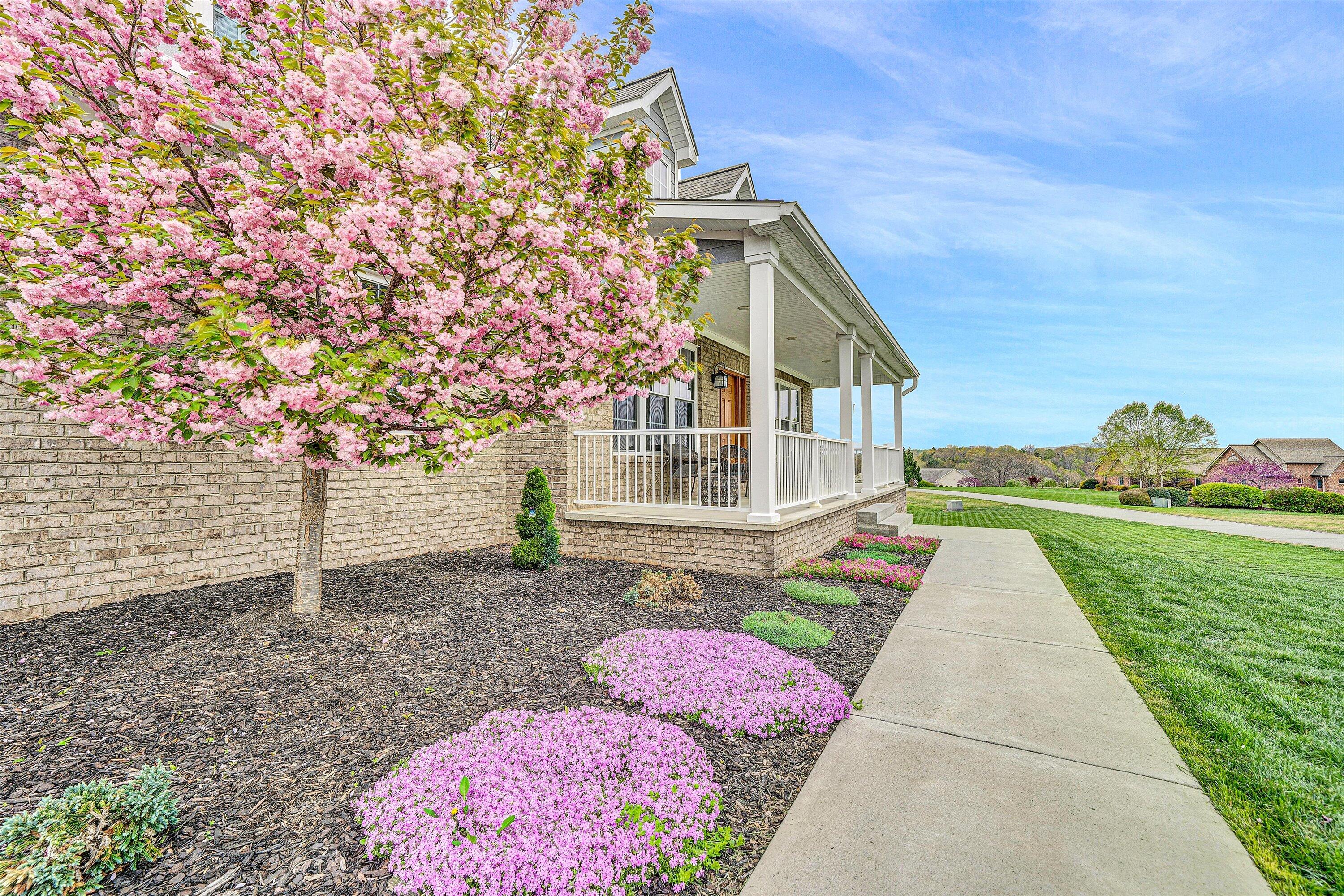 111 Halsey CT
