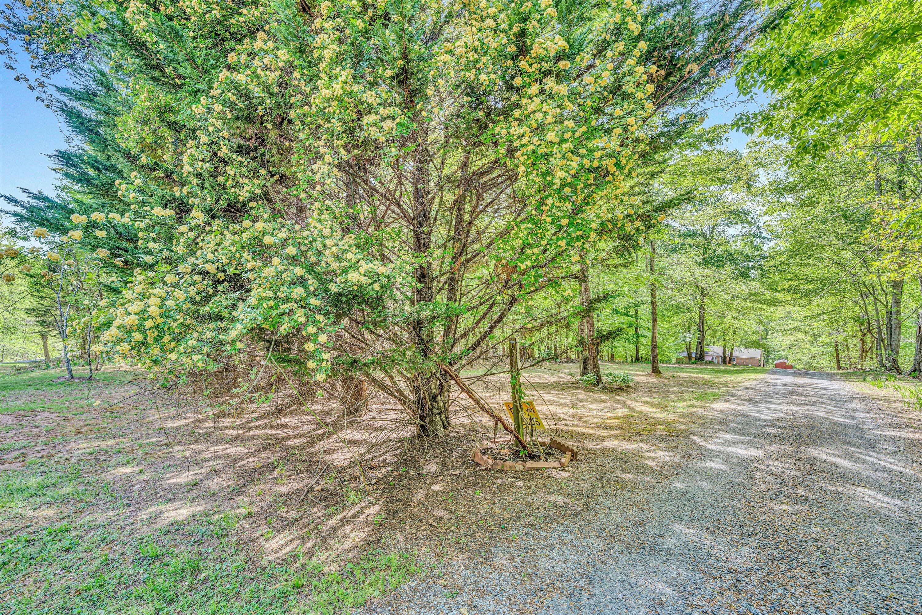 14 Kamp Branch RD