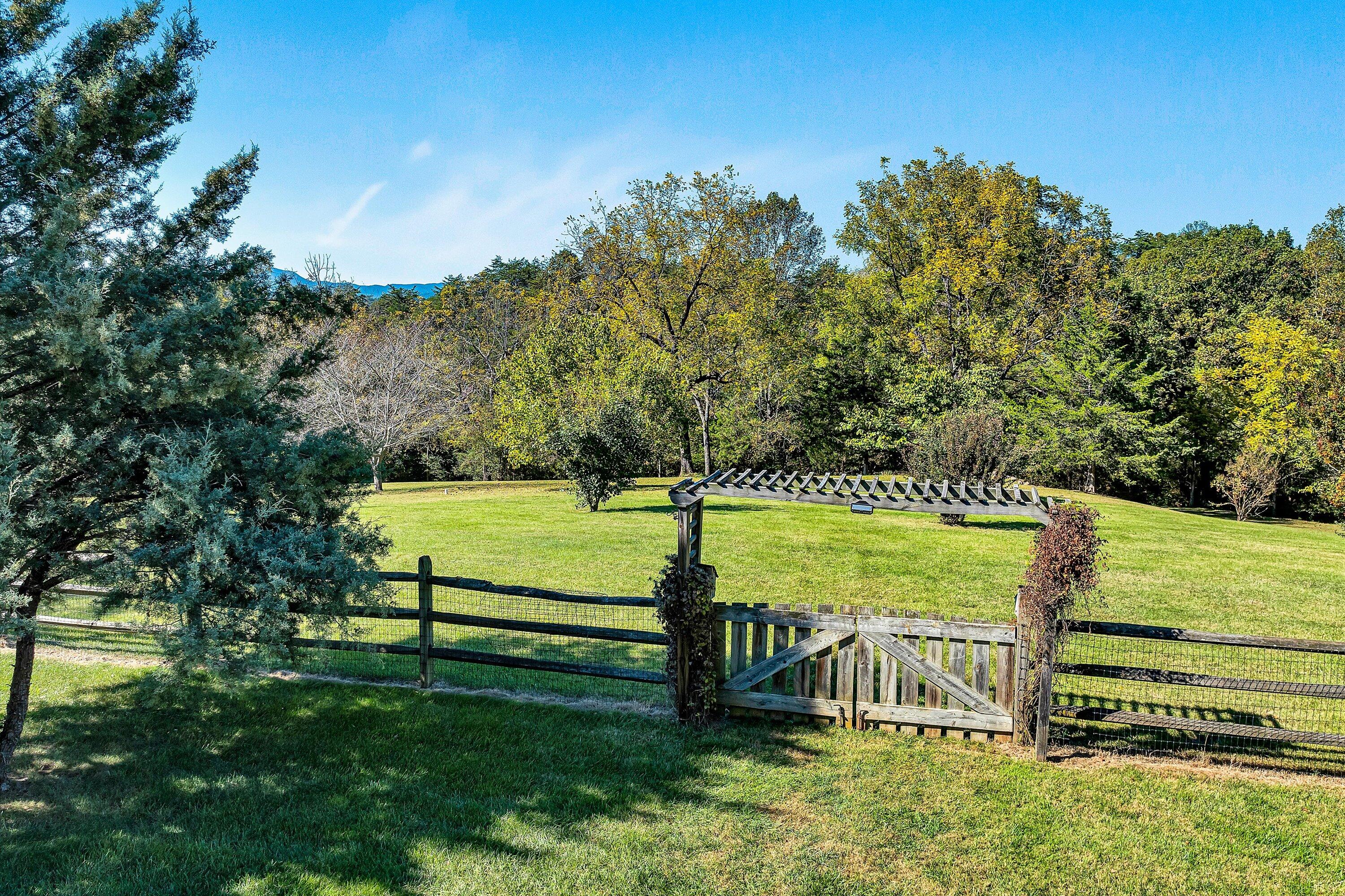 196 Halsey CT