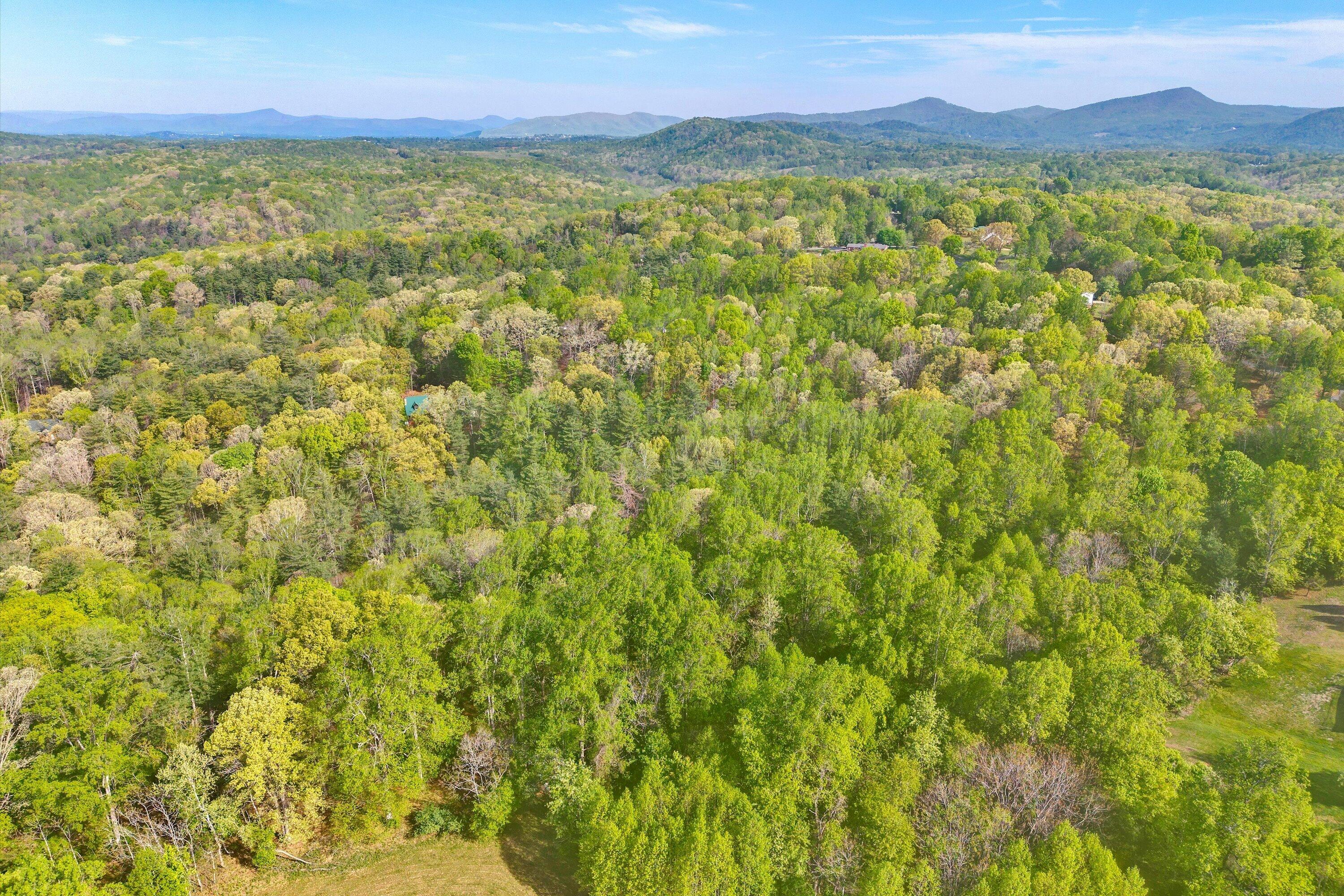 Lot 2 Winding Timber LN