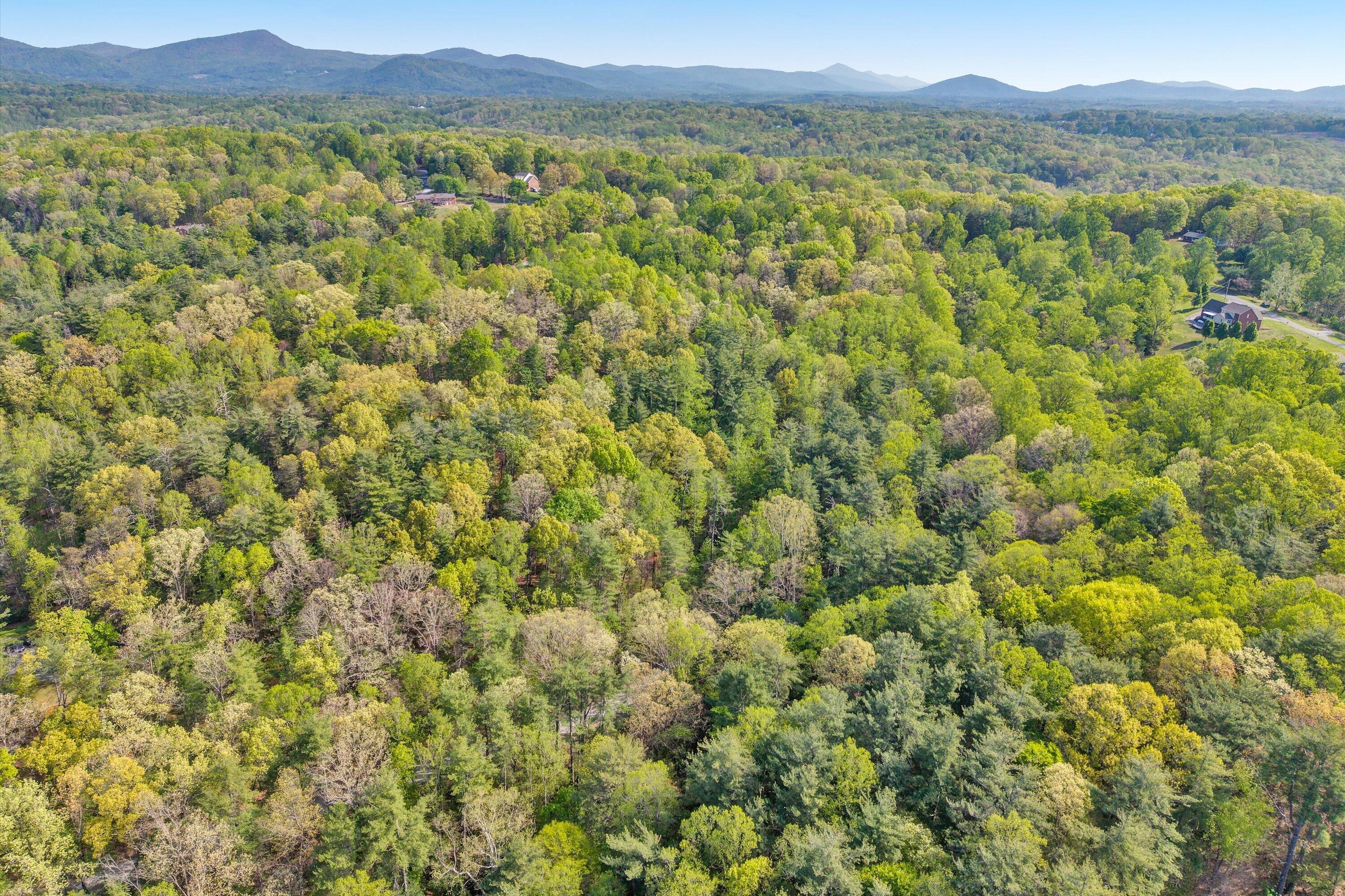 Lot 2 Winding Timber LN
