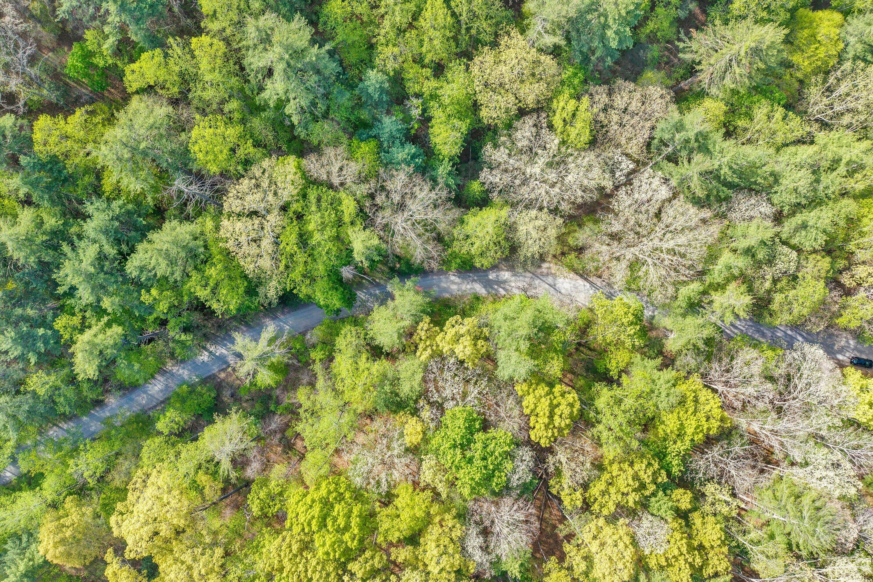 Lot 2 Winding Timber LN