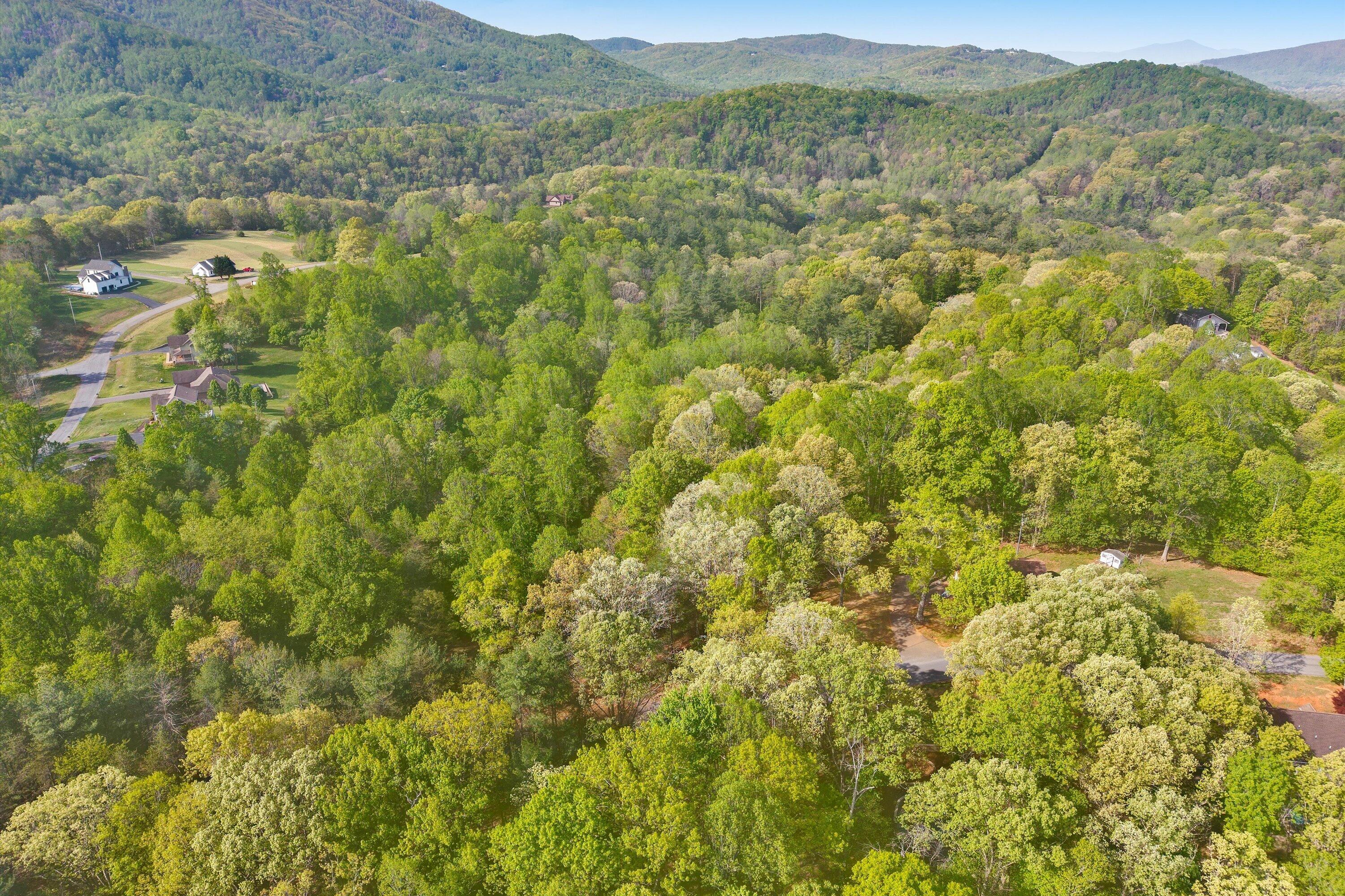 Lot 2 Winding Timber LN