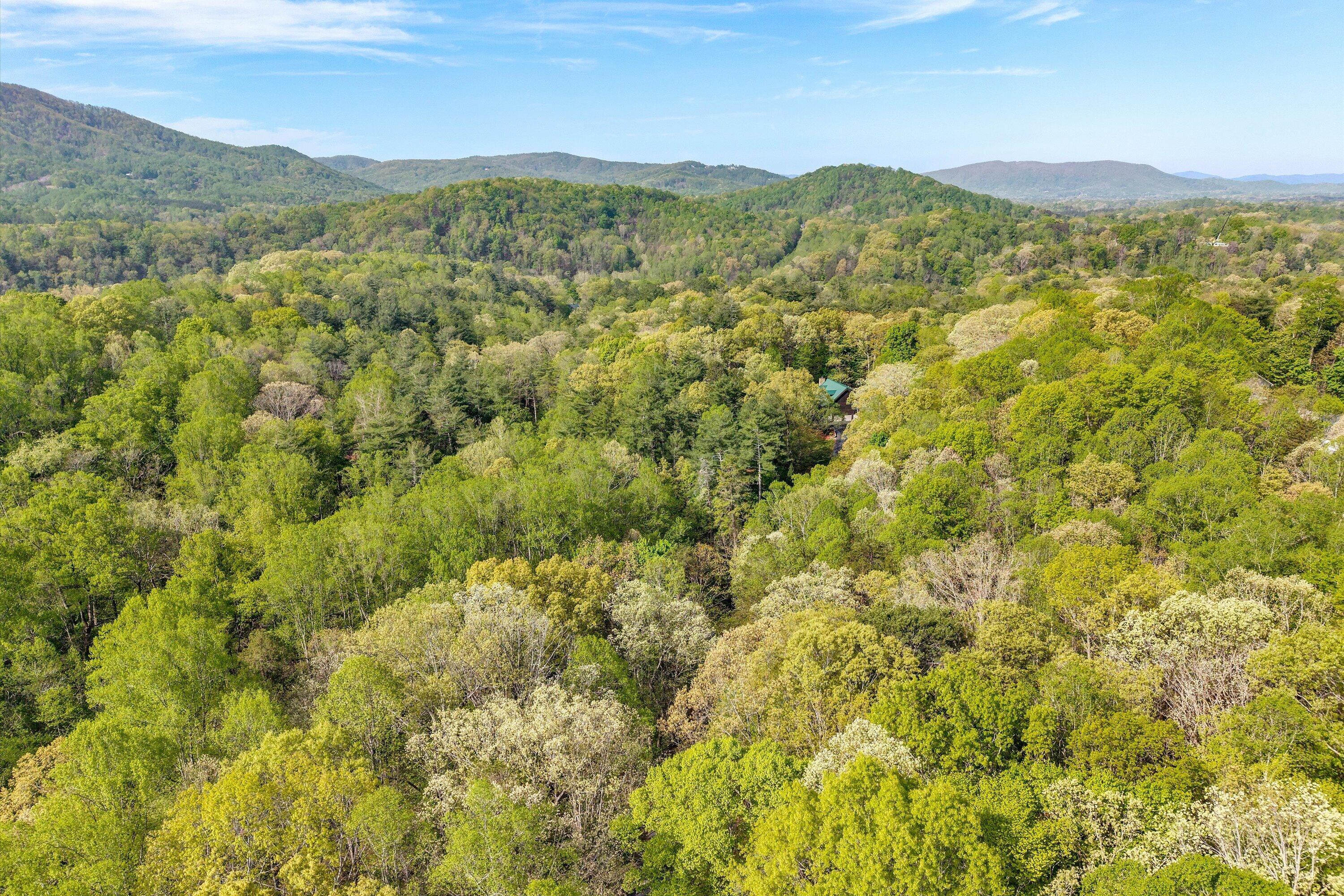 Lot 2 Winding Timber LN