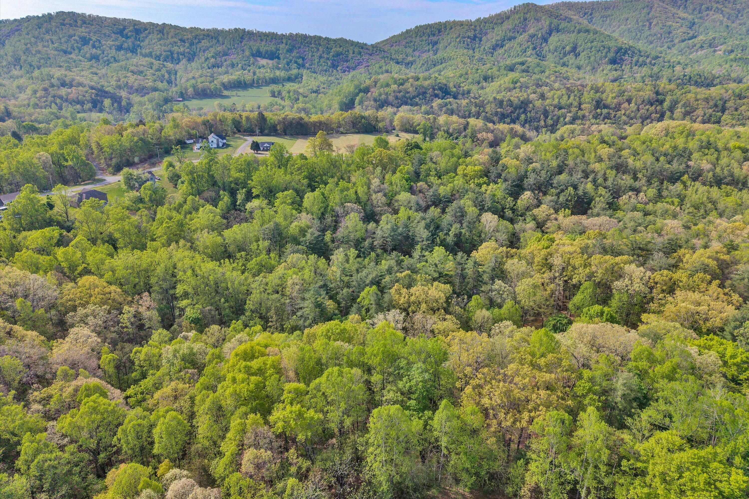 Lot 2 Winding Timber LN