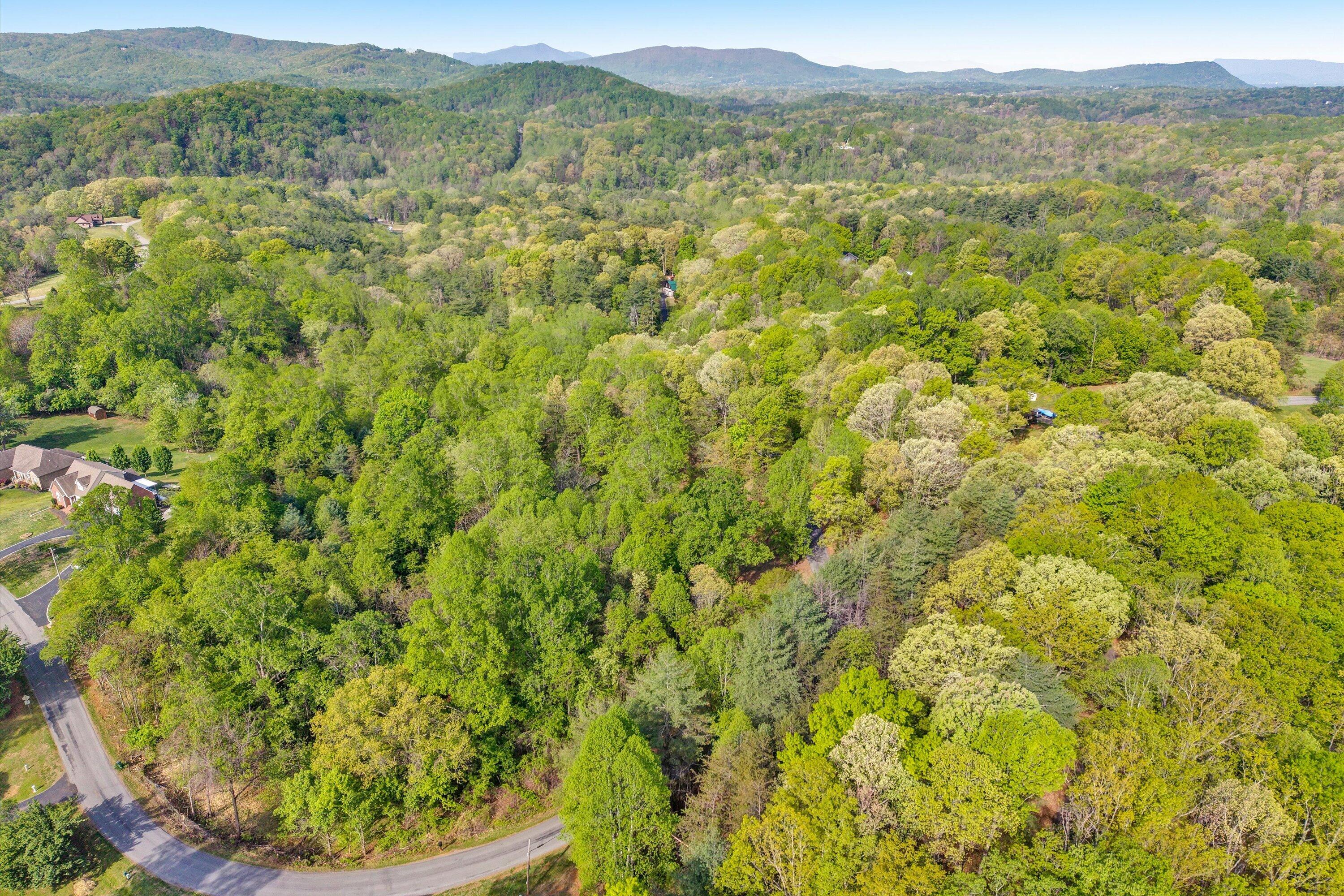 Lot 2 Winding Timber LN