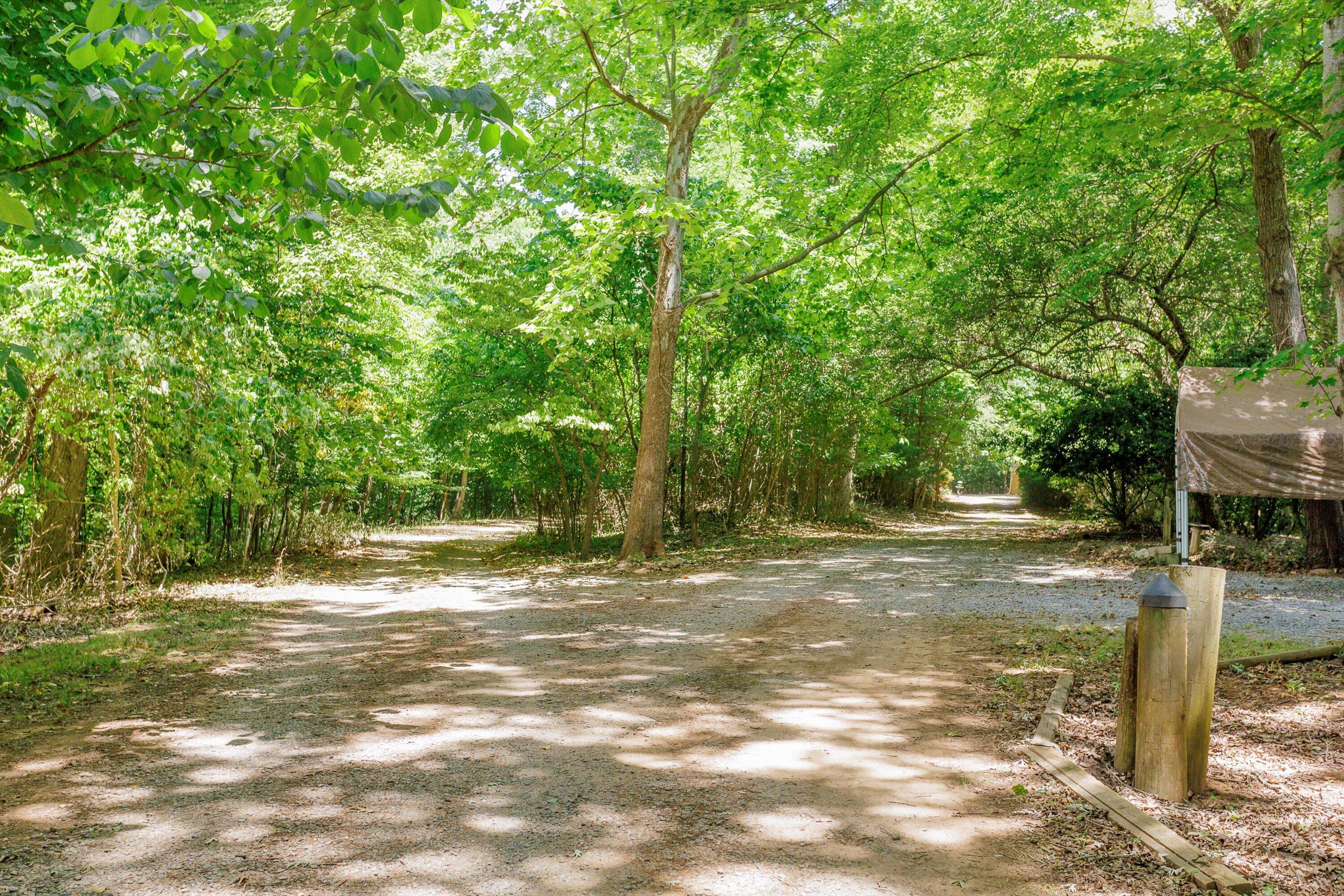 250 Montilago DR