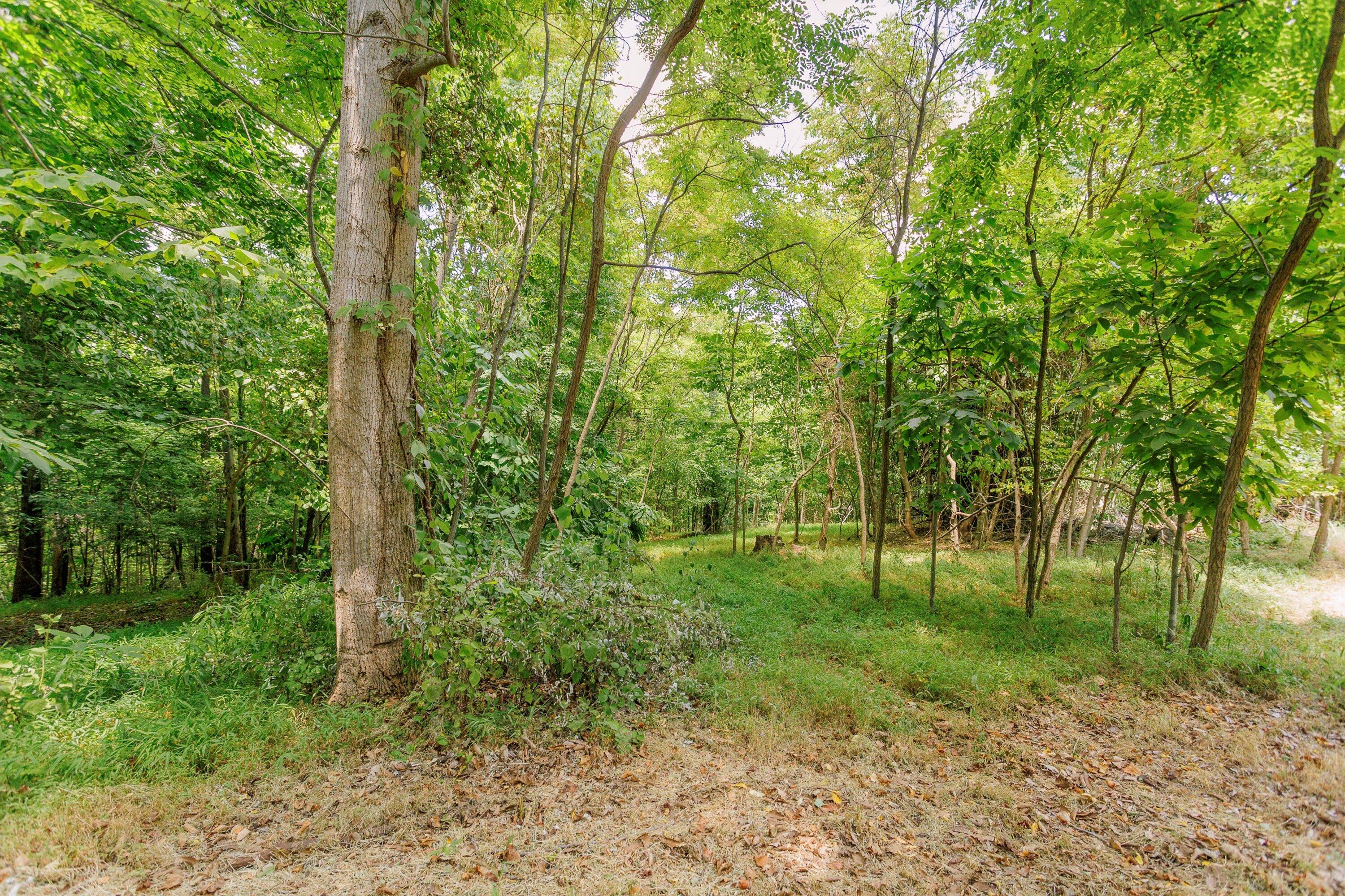250 Montilago DR