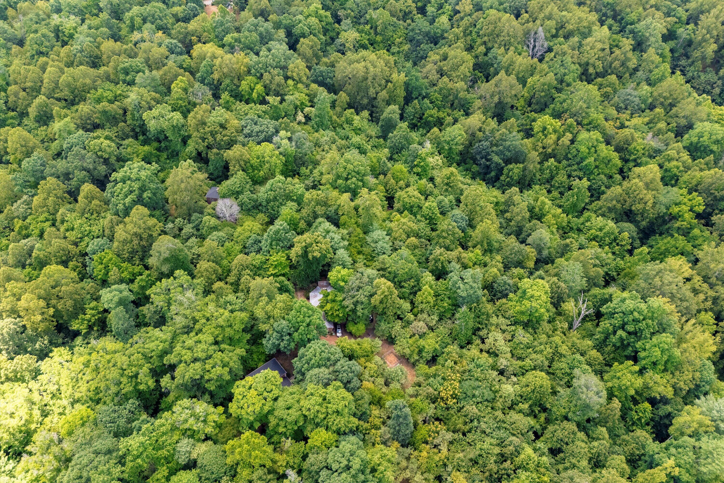 250 Montilago DR
