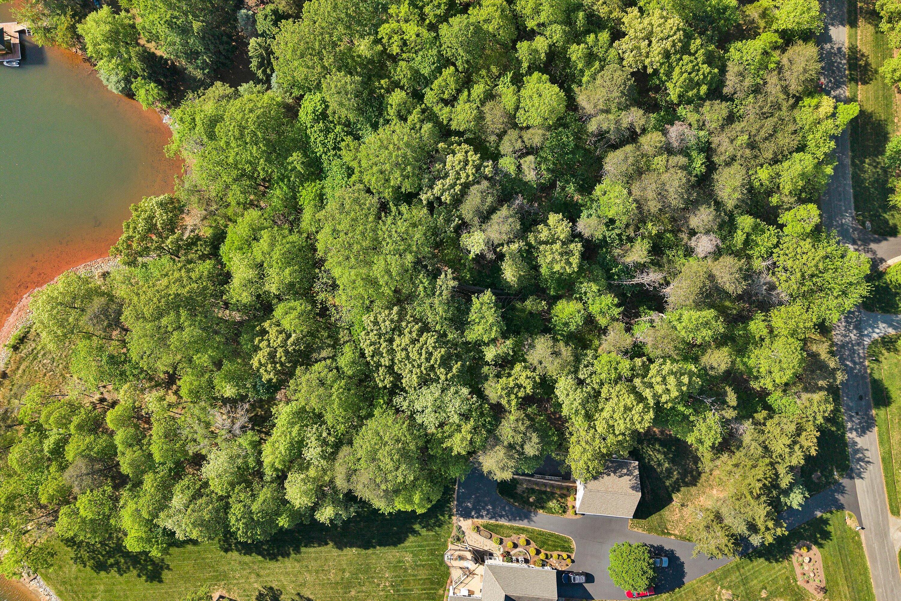 Lot 4 Three Quarter Point RD