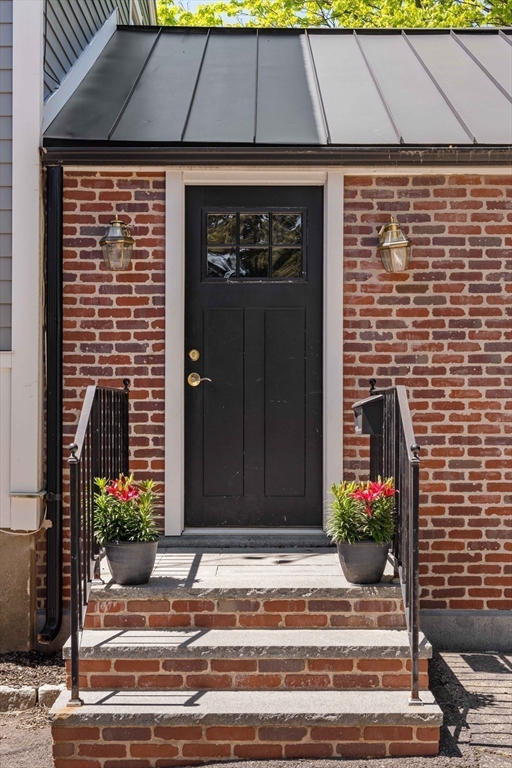 77 Willard Street