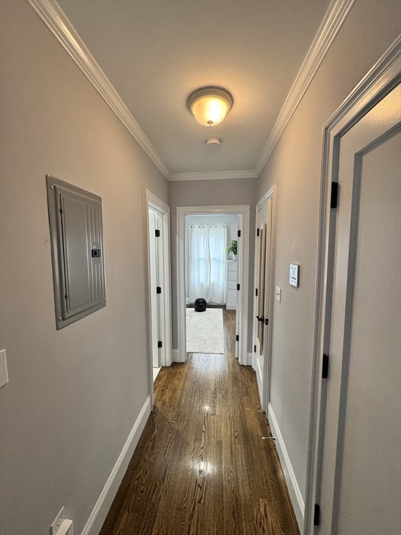 252 Bowen Street # 3, Boston Unit: 3