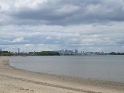 50 Channing St # 1