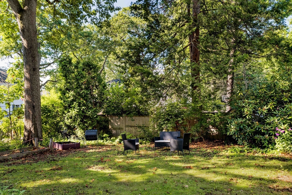 26 Elmwood Ave