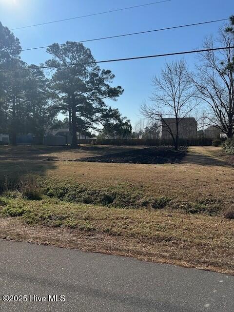 Vacant grassy lot beside a road, with mature trees and neighboring homes.