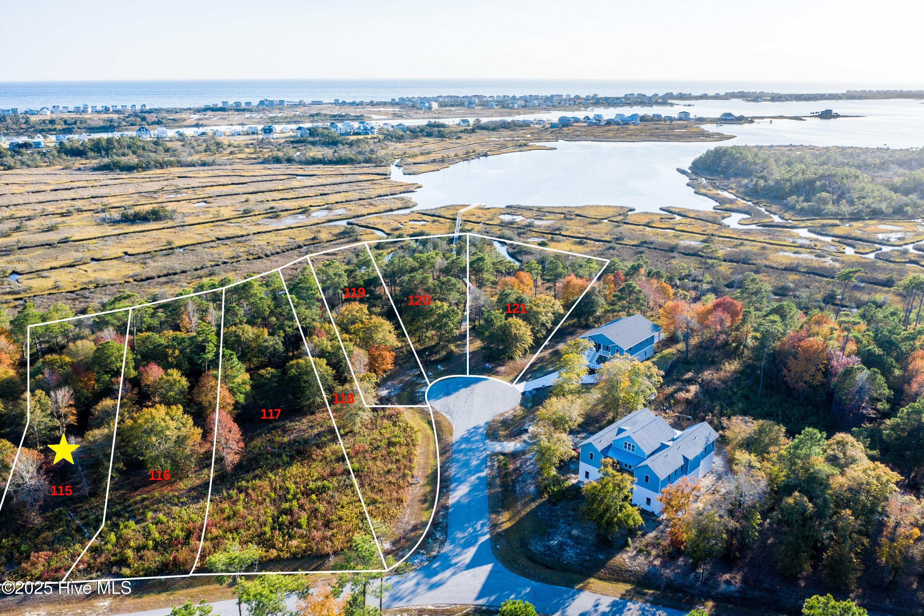 Aerial view of wooded lots 115–121 outlined beside a curved road and coastal marsh.