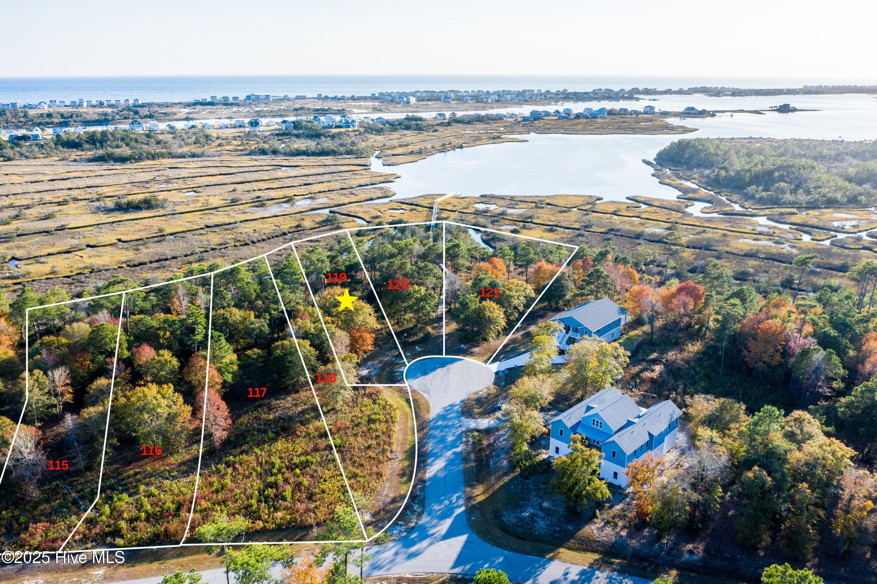 Aerial view of numbered wooded lots, with lot 119 marked by a star beside a cul-de-sac and marshland.