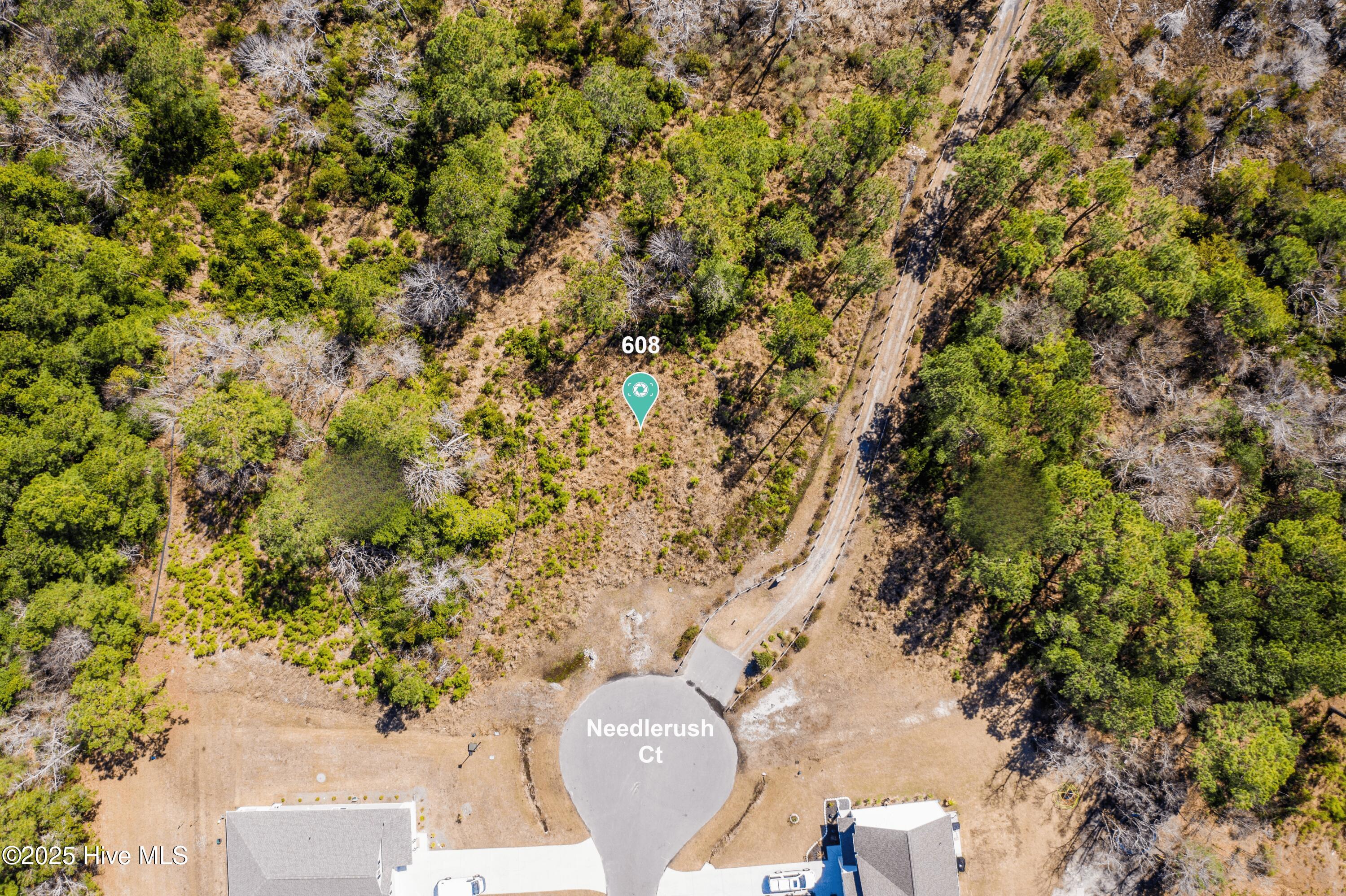 608 201 Needlerush Court