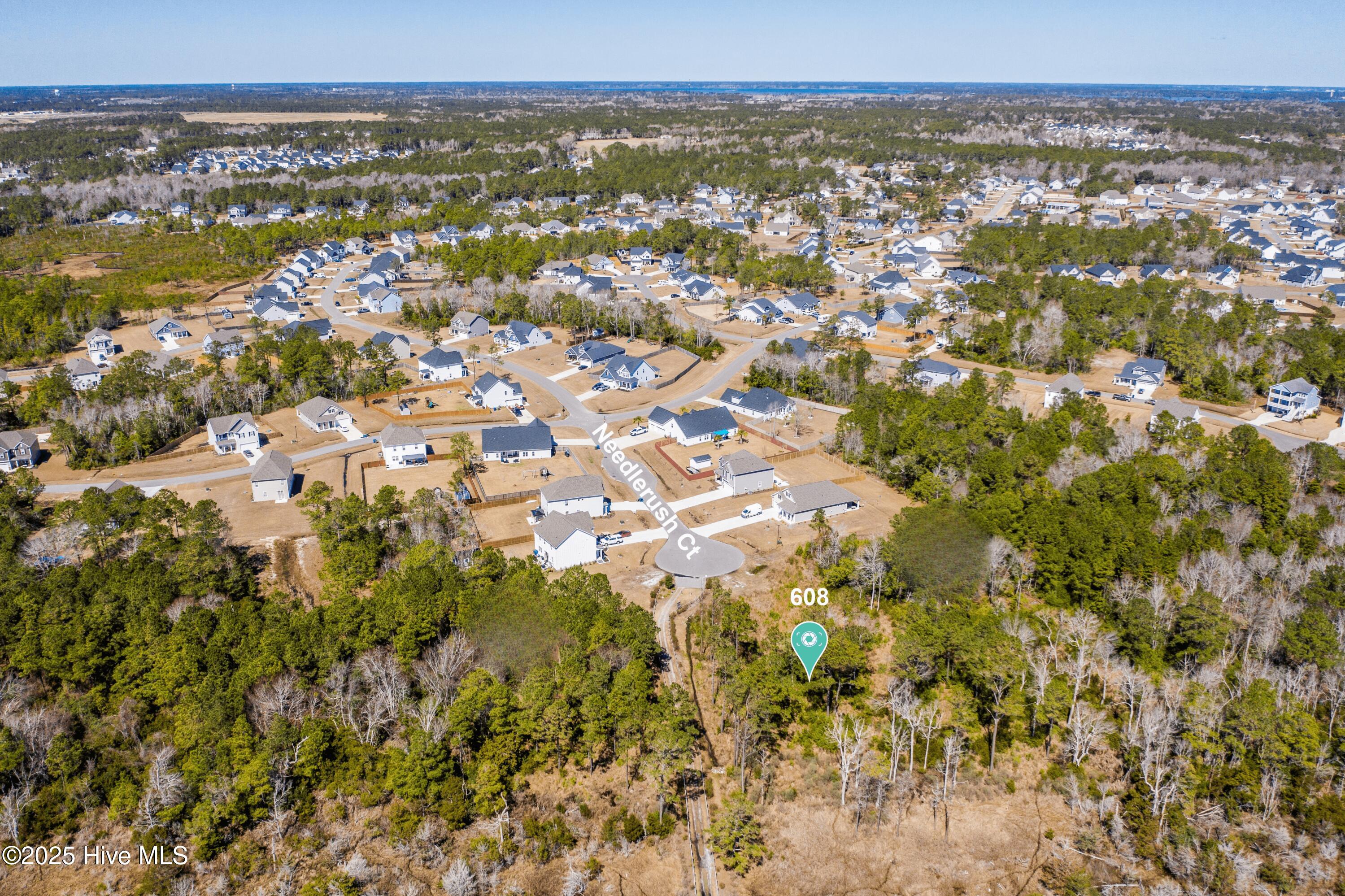 608 201 Needlerush Court