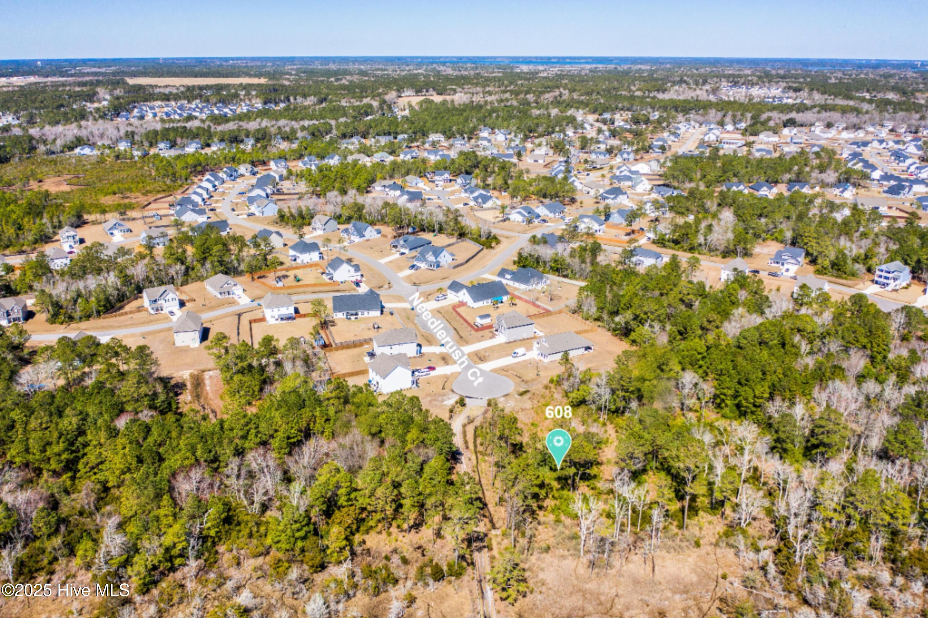 608 201 Needlerush Court