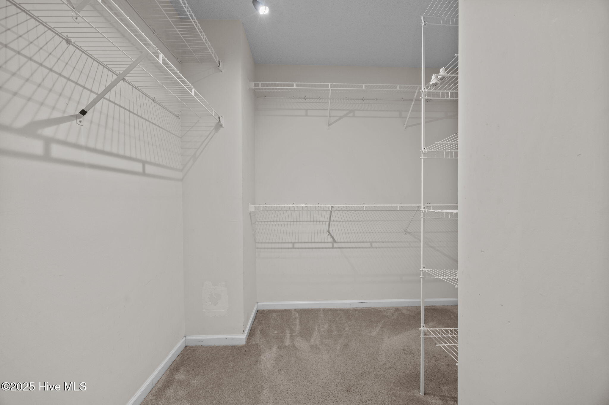 241 Scott Jenkins Road