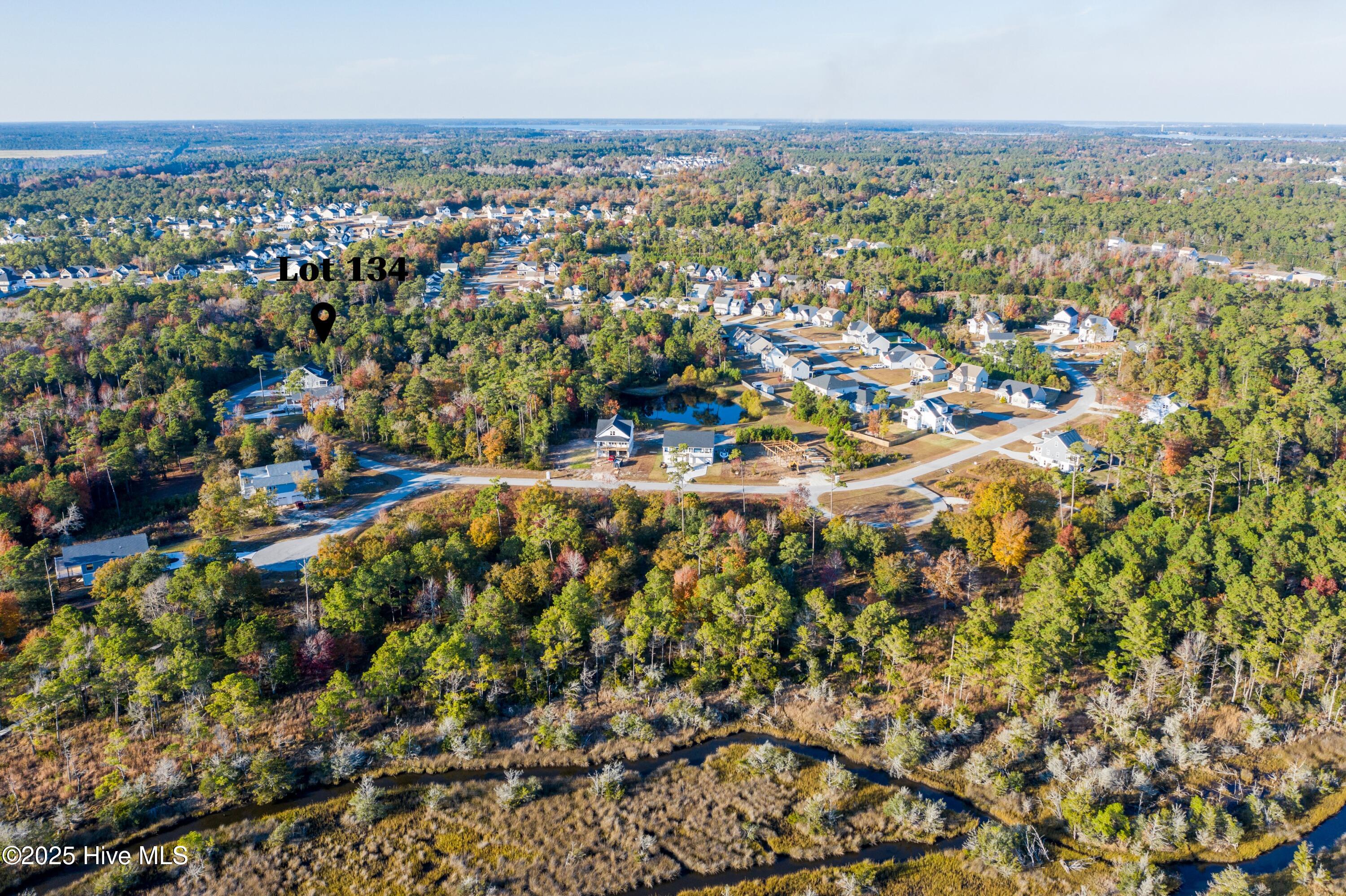 Aerial view of wooded homes and winding creek, with a pin marking Lot 134.