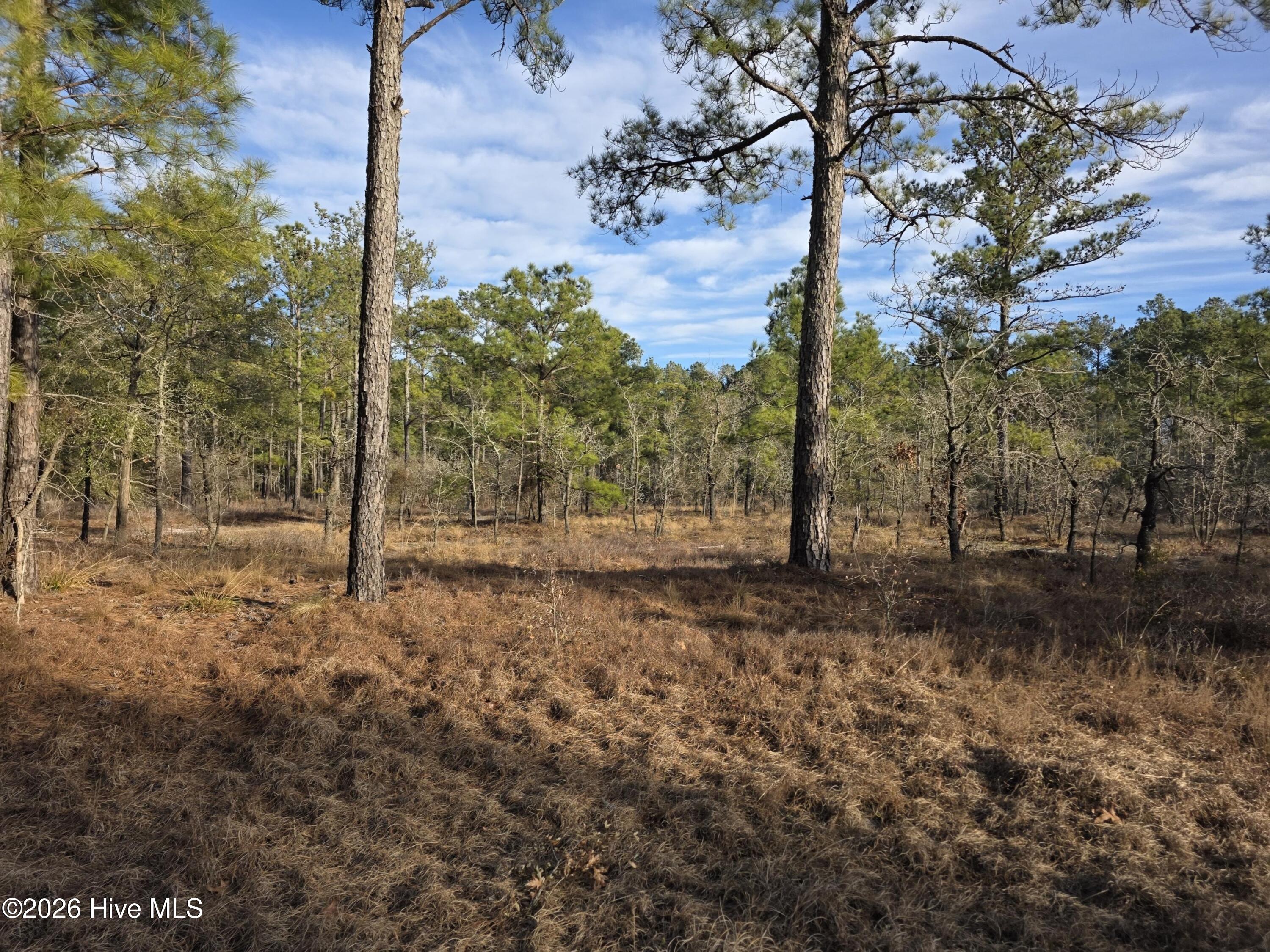 Lot 11 Meeks Creek Drive