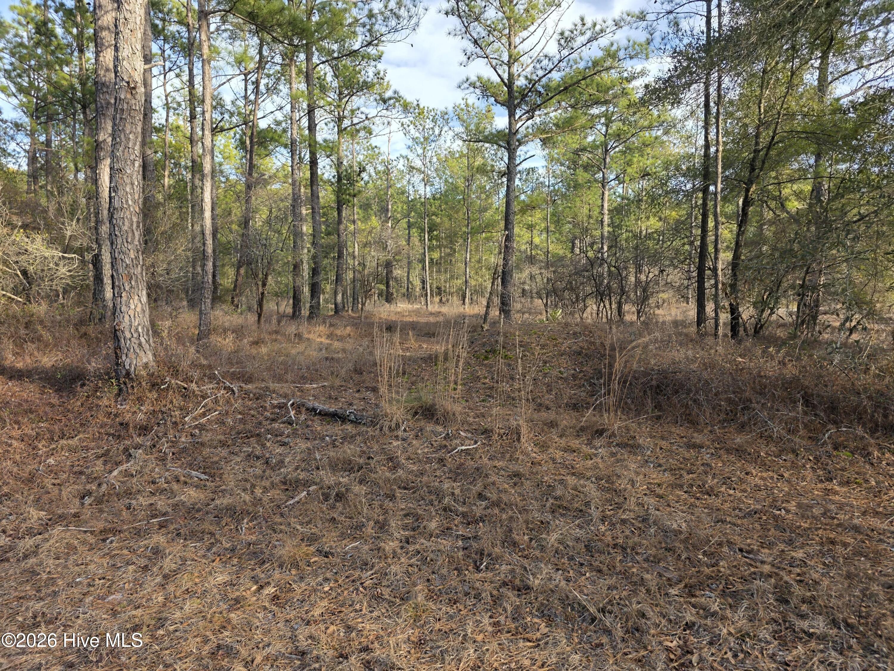 Lot 11 Meeks Creek Drive