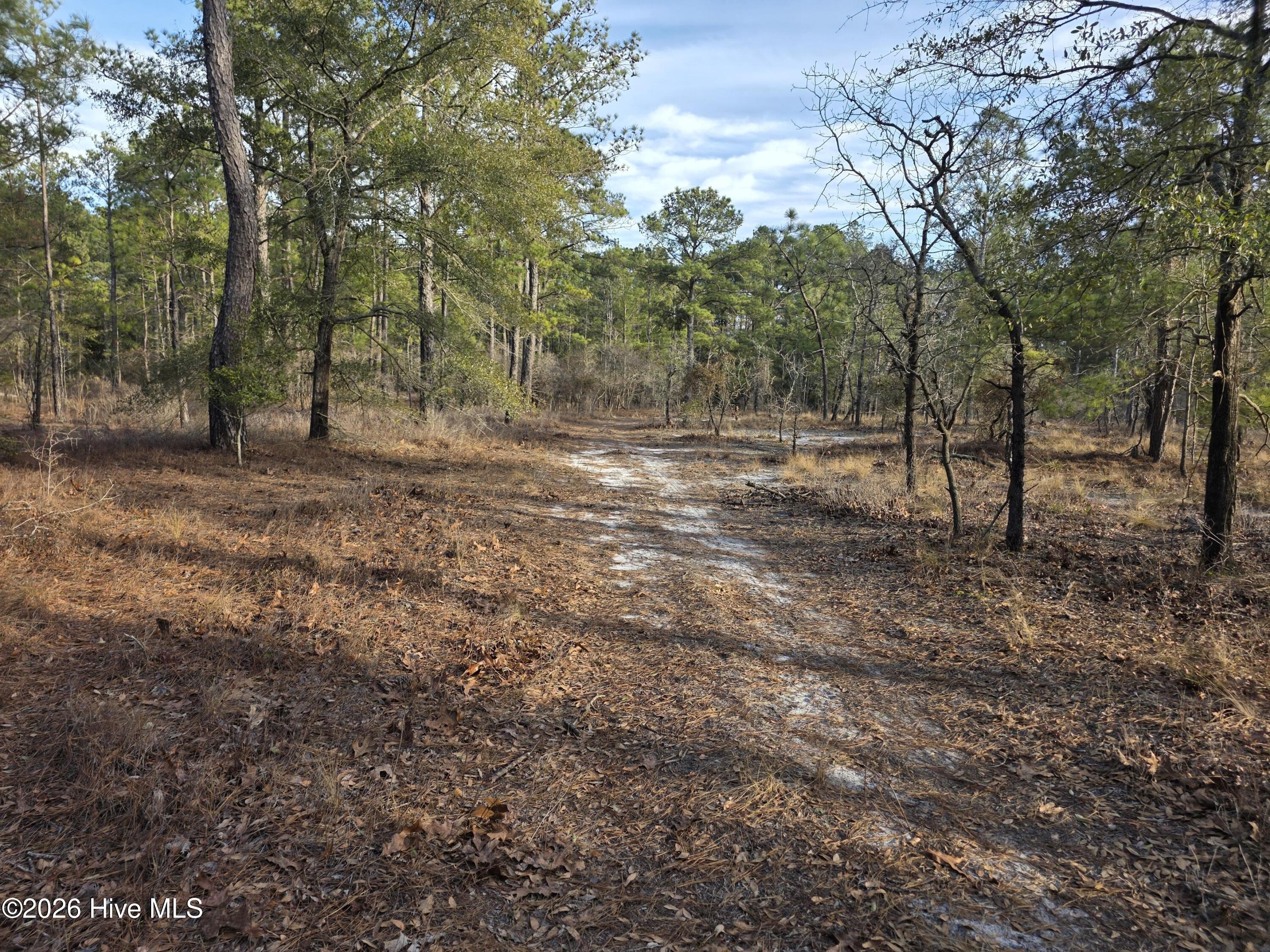 Lot 11 Meeks Creek Drive