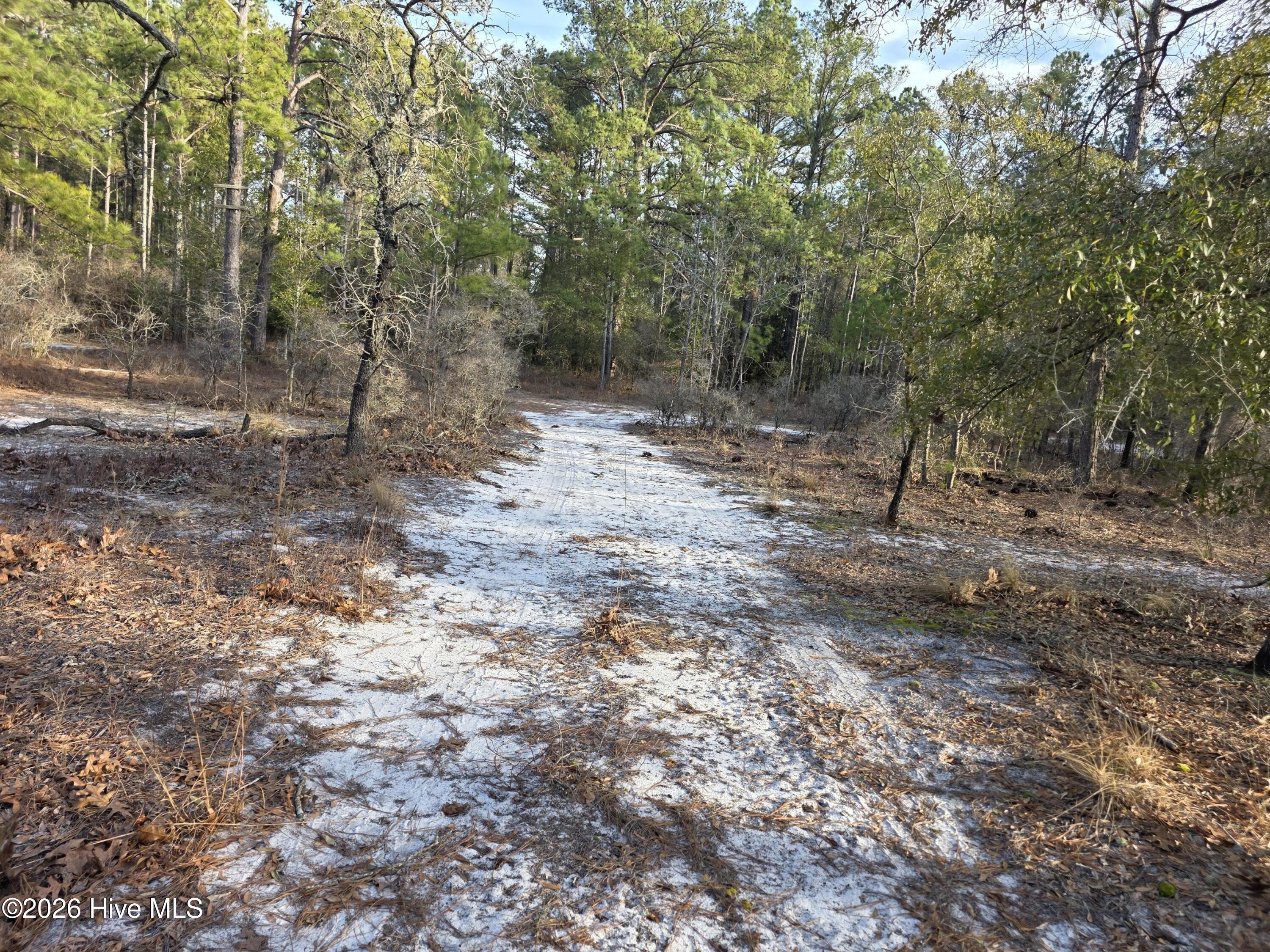 Lot 11 Meeks Creek Drive