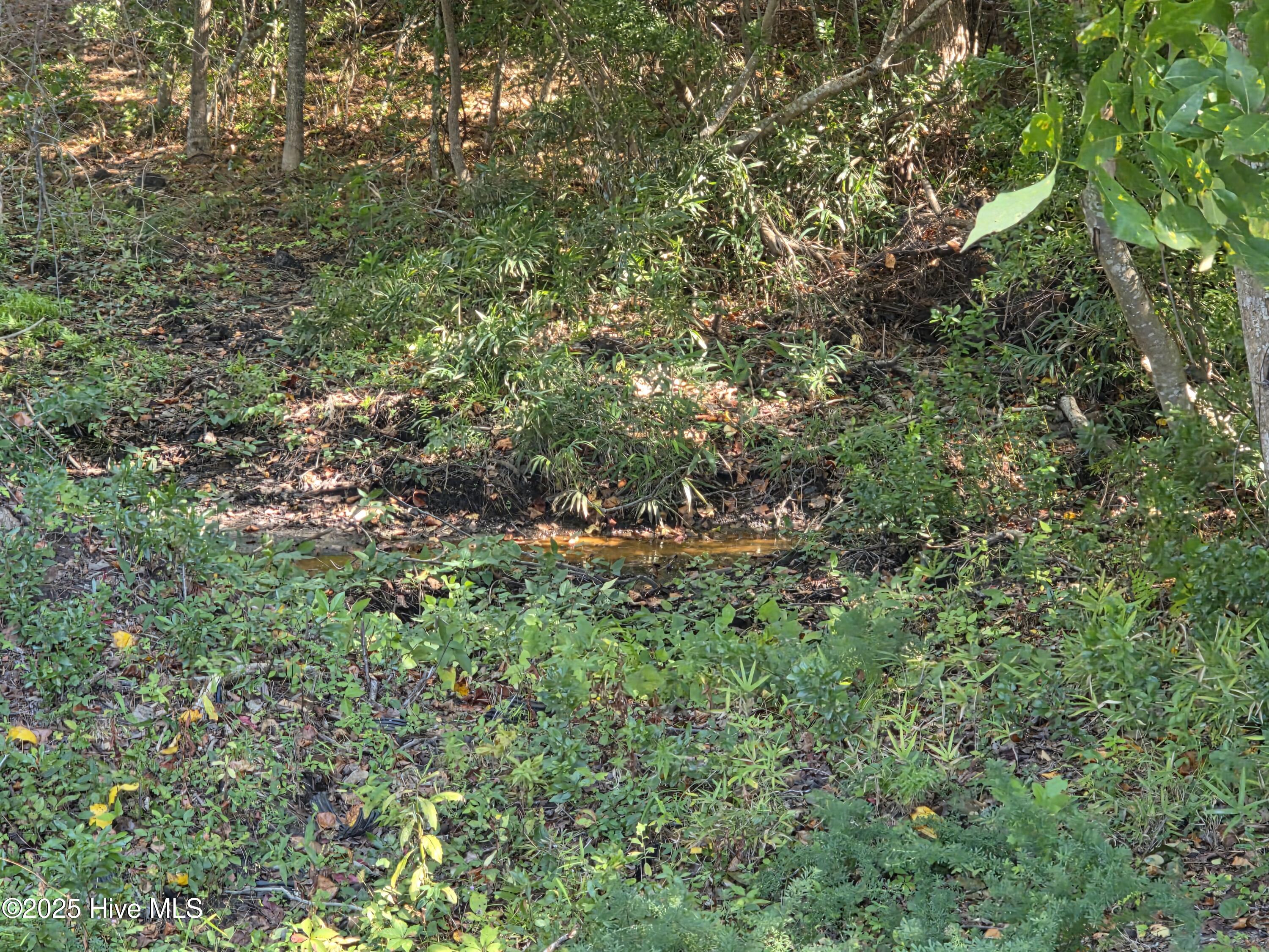201 156 Marshside Landing