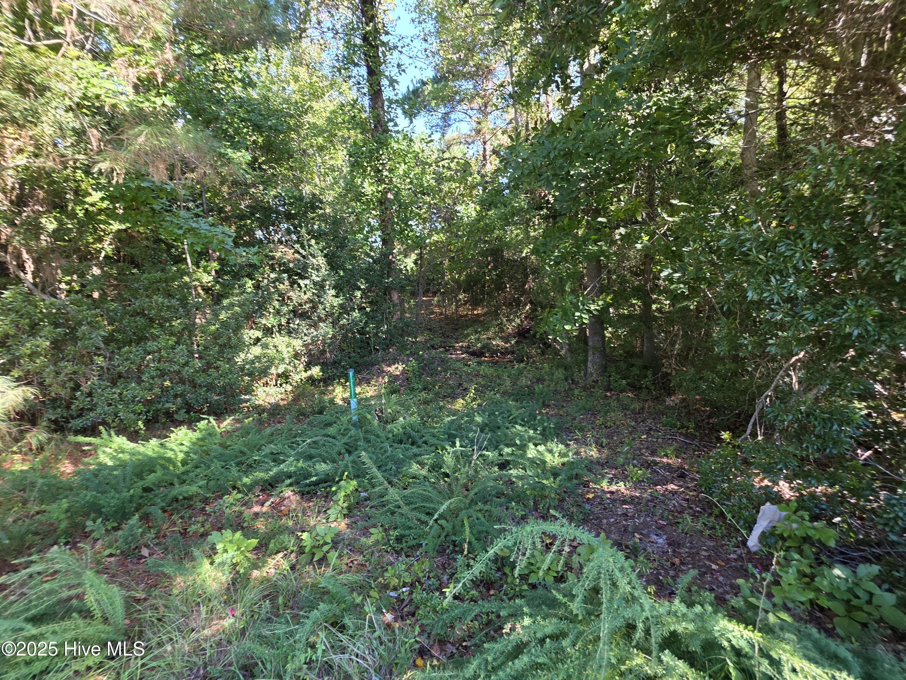 201 156 Marshside Landing