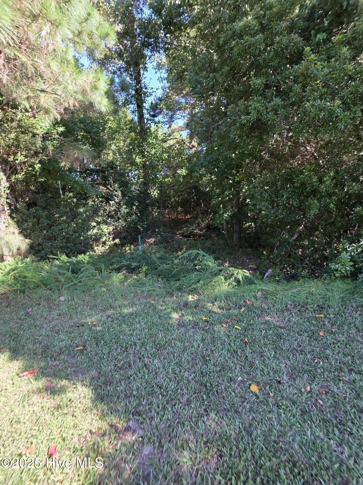 201 156 Marshside Landing
