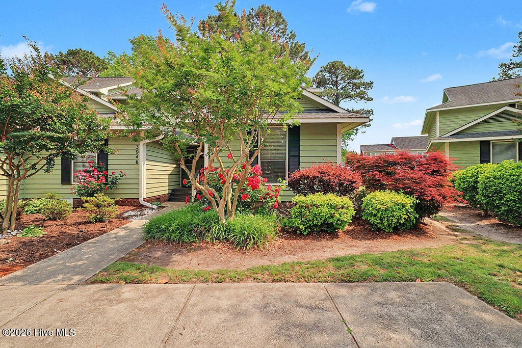 Pale green single-story home framed by flowering shrubs and mature trees.