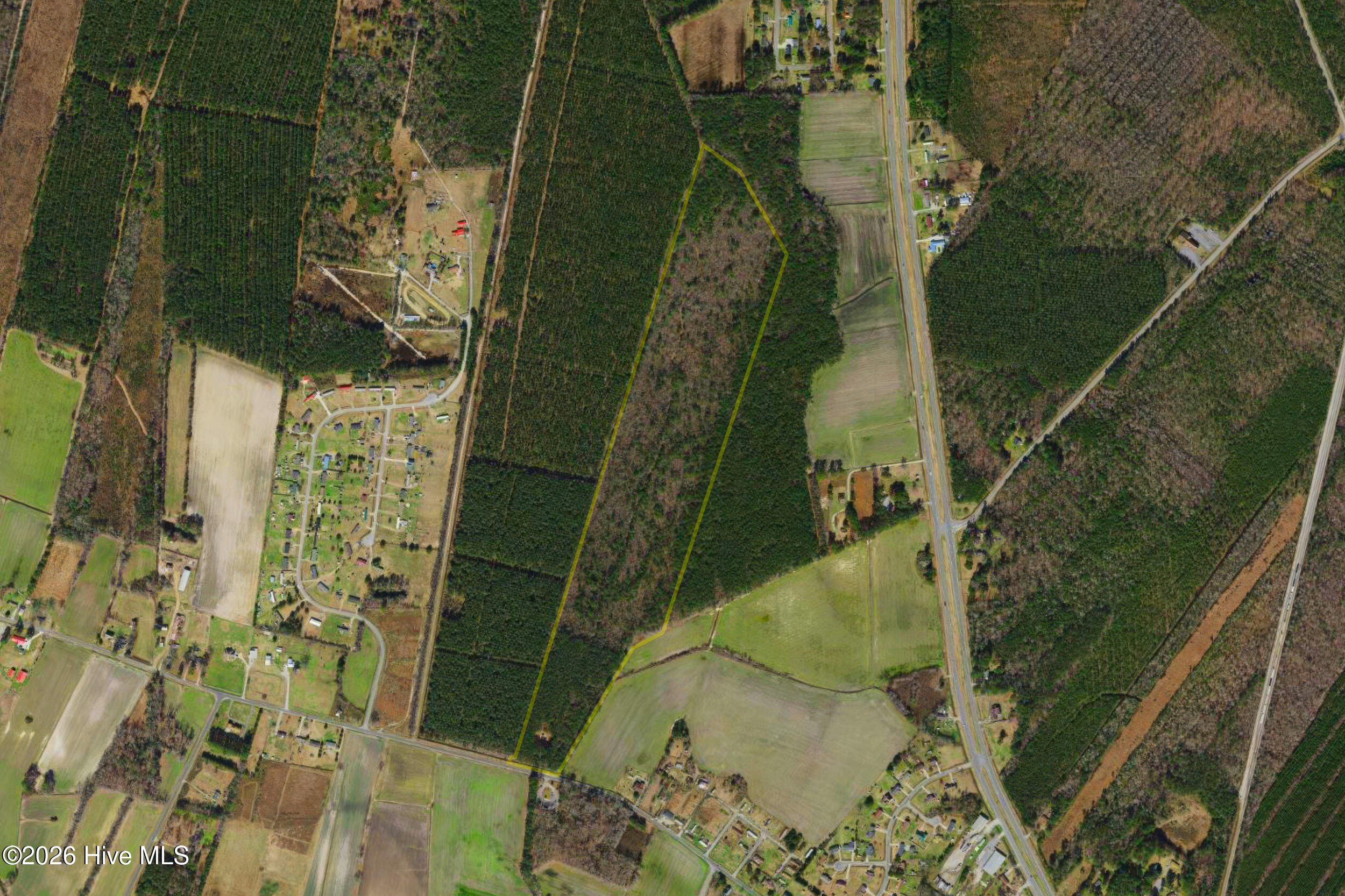 Aerial view of a wooded parcel outlined in yellow among fields and rural homes.
