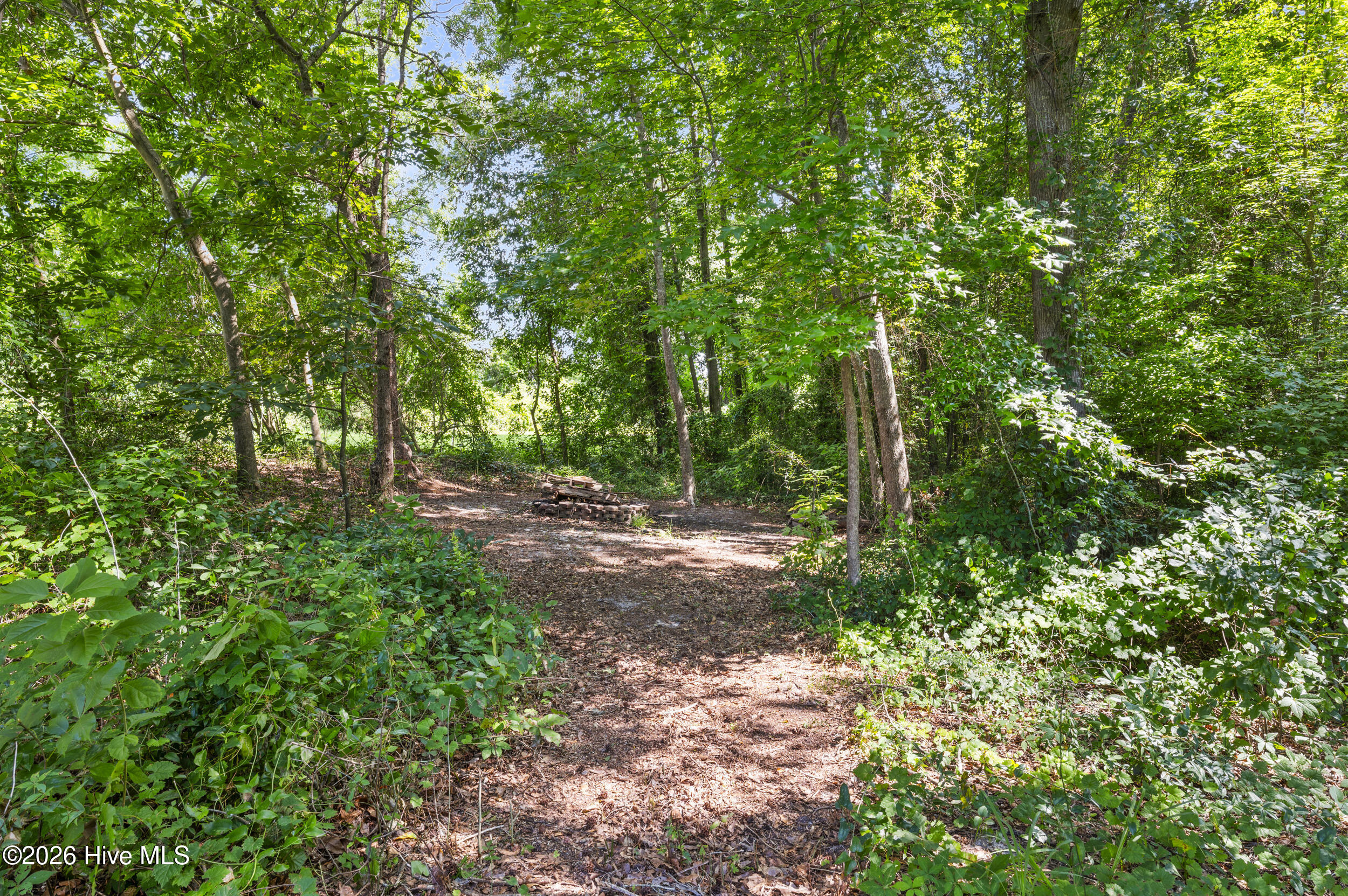 124 Briar Hollow Drive