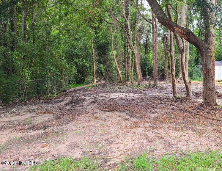 Wooded lot with a broad cleared area beneath mature trees.
