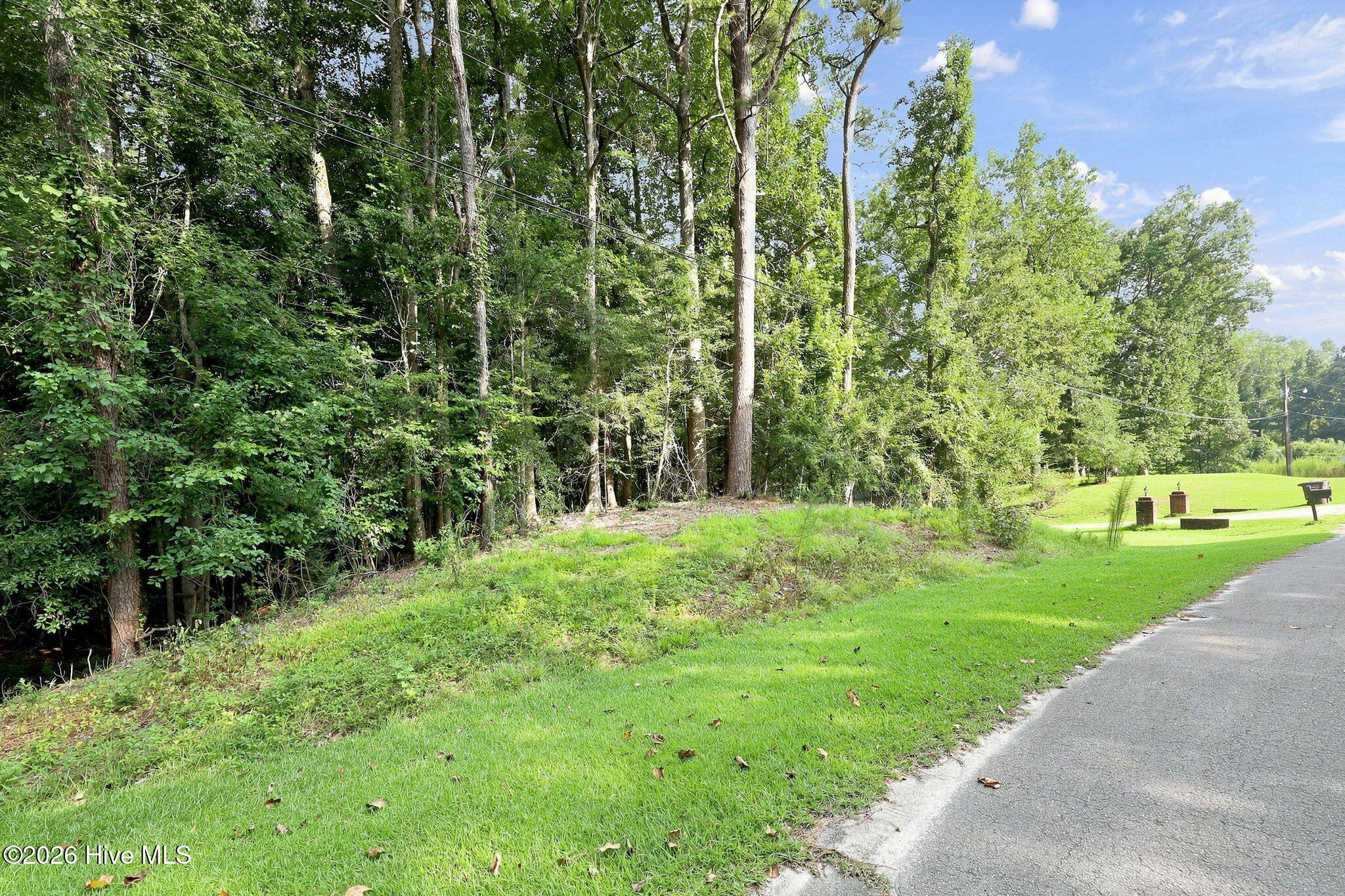 Wooded grassy lot beside a paved road, with overhead utility lines and an open lawn beyond.
