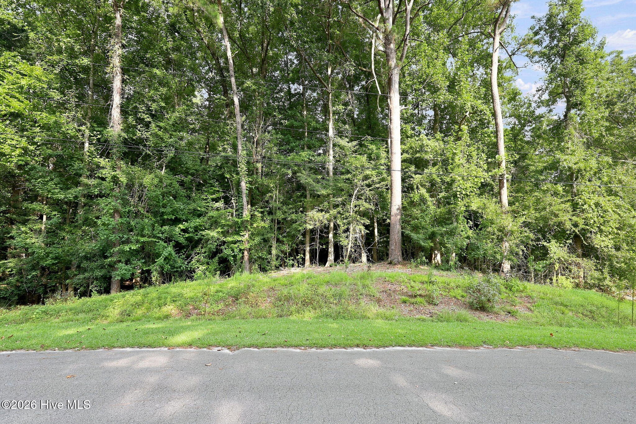 410 Candlewood Drive