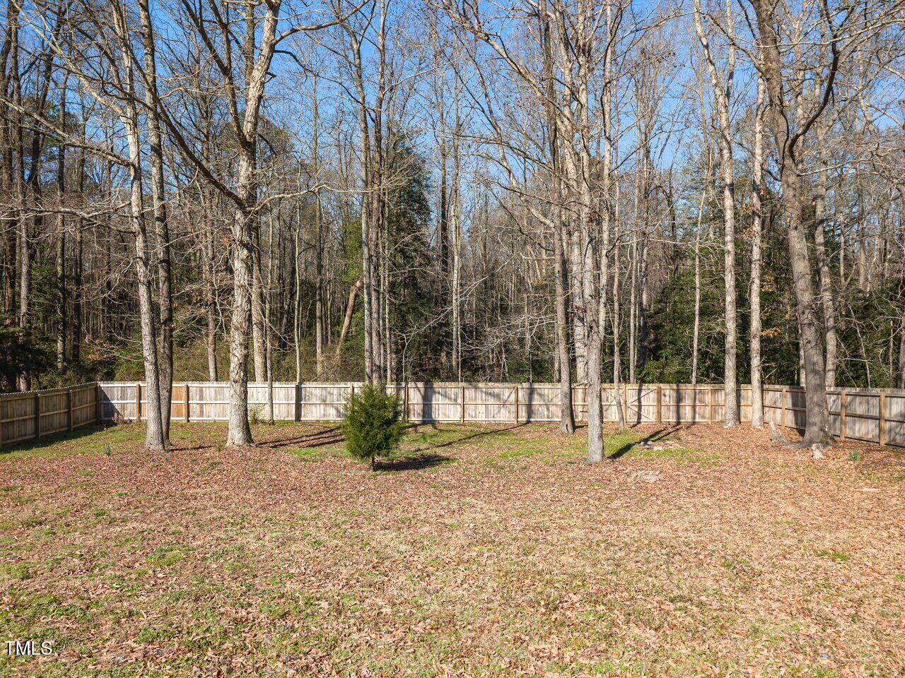 203 Patterdale Place