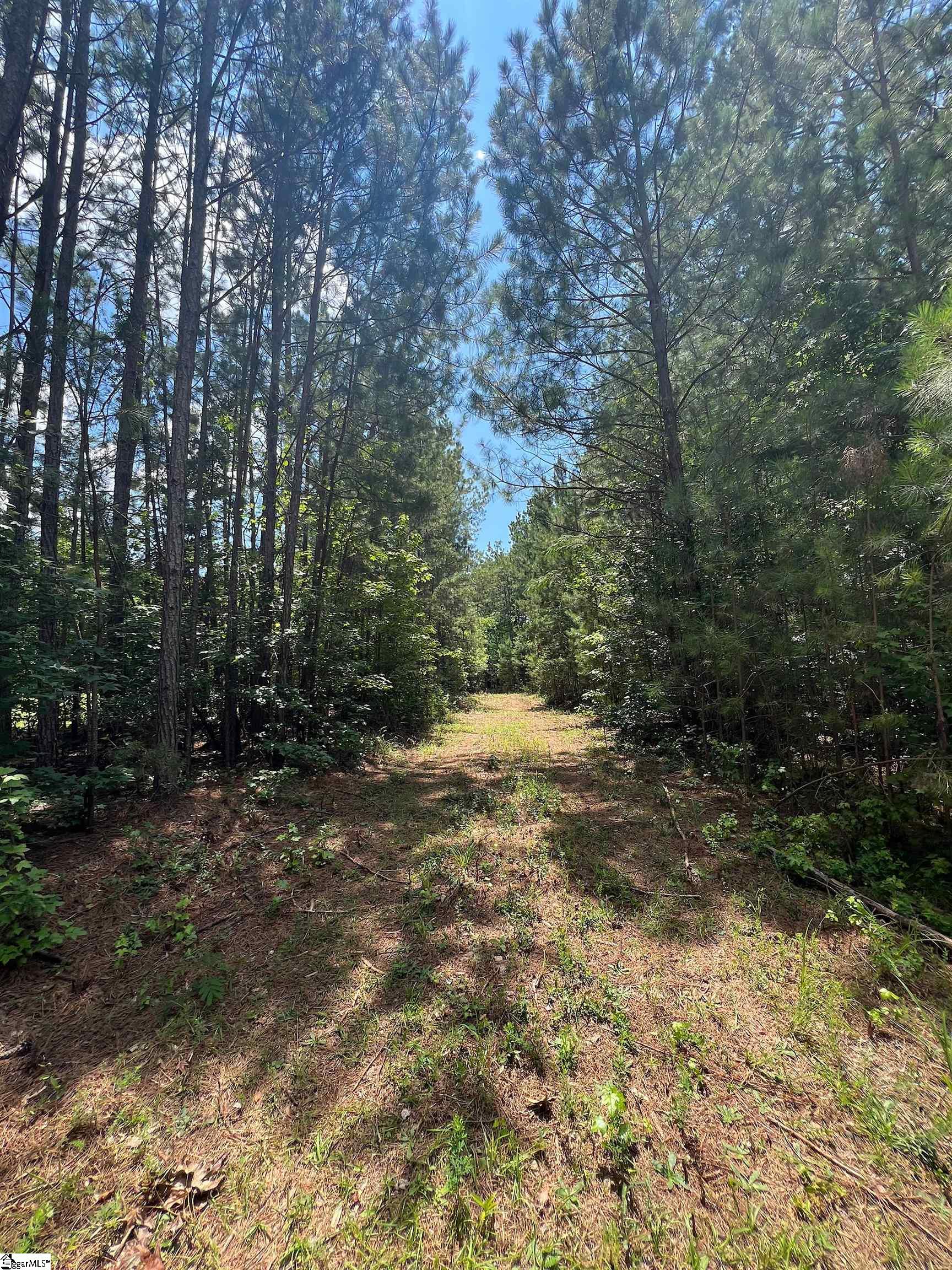 00 Woodbluff Road