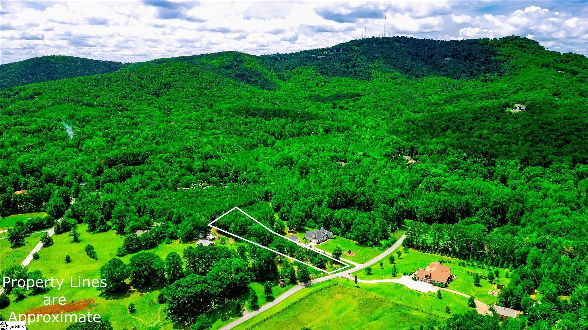301 Clearview Road