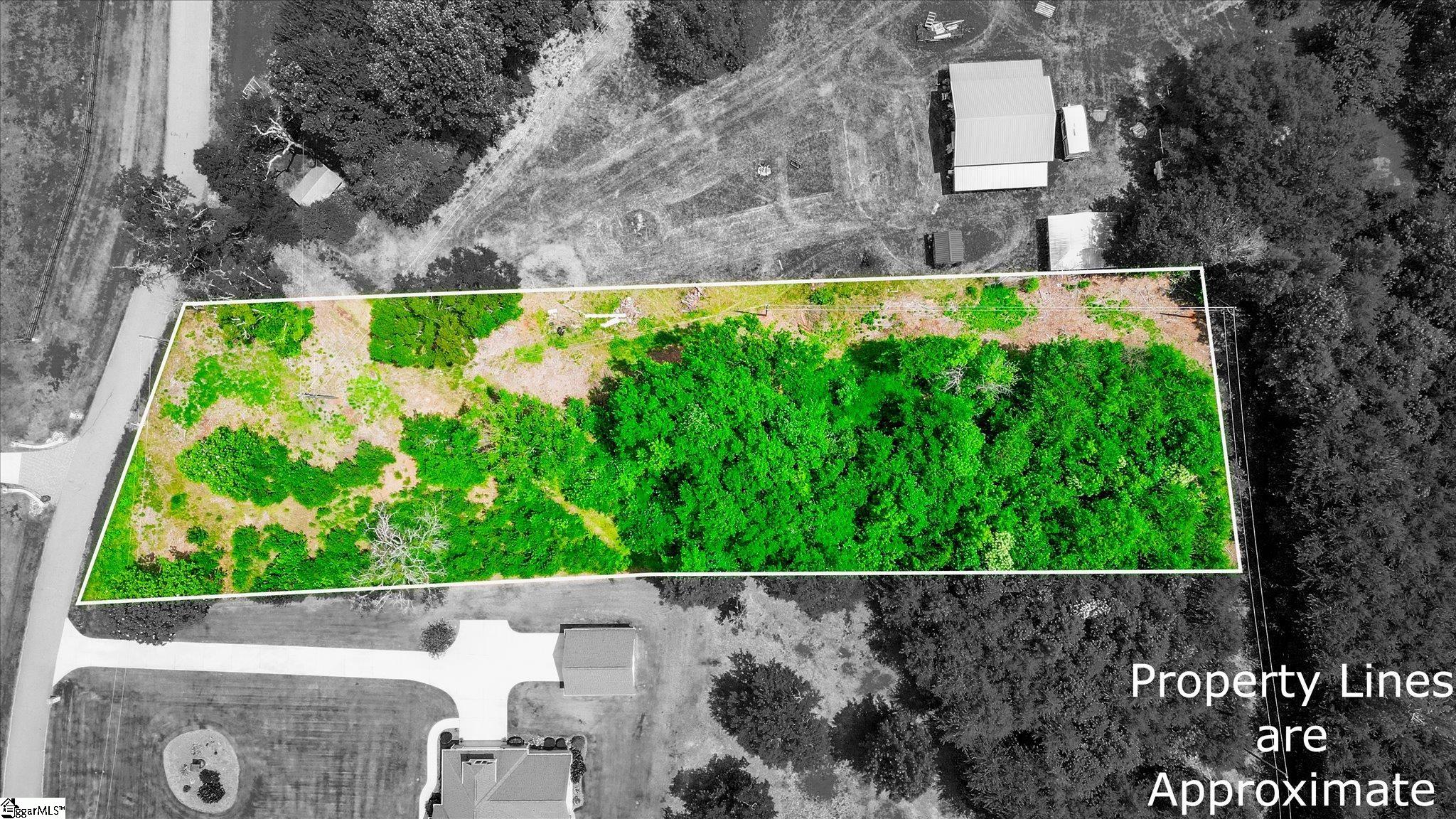 Aerial view of a tree-covered vacant lot outlined in white, with surrounding areas shown in grayscale.