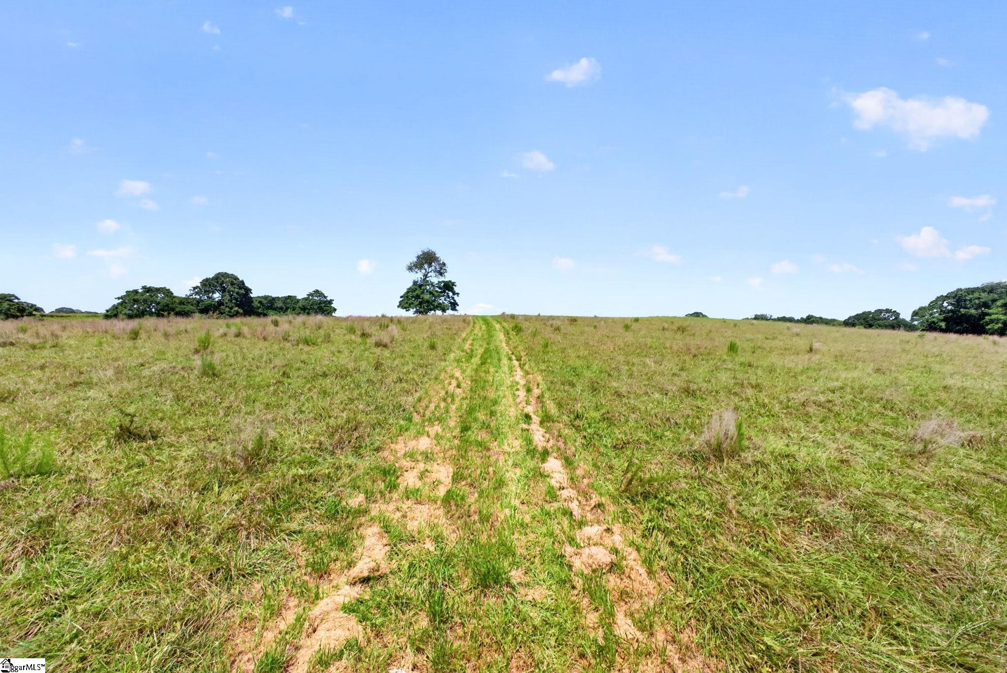 40 Log Shoals Road